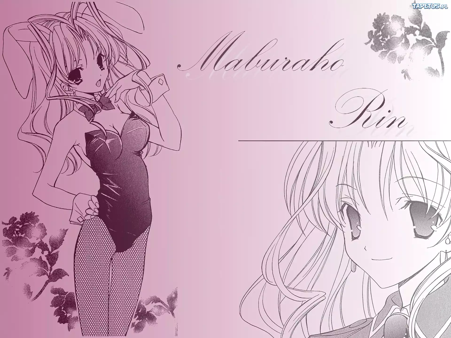 Maburaho, playboy, bunny, kobieta