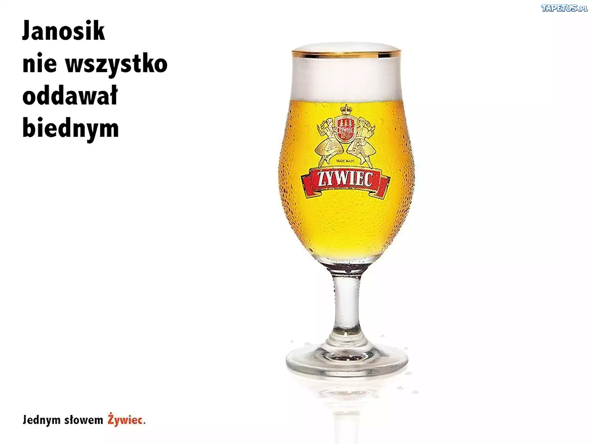 Piwo, Piwo Żywiec, piana