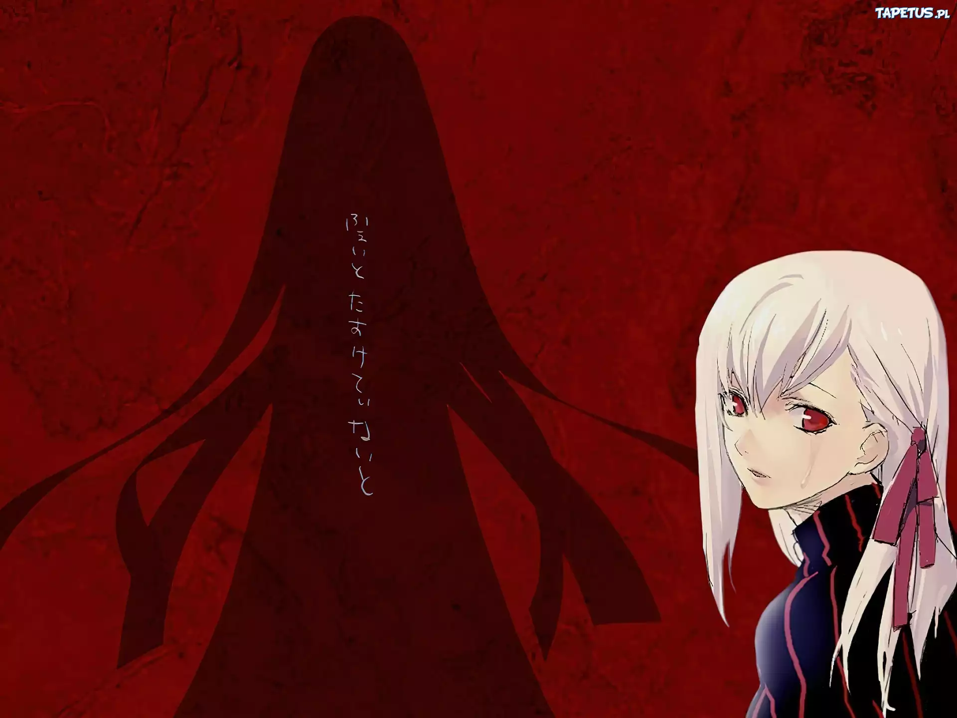 Fate Stay Night, kobieta, napisy, cień