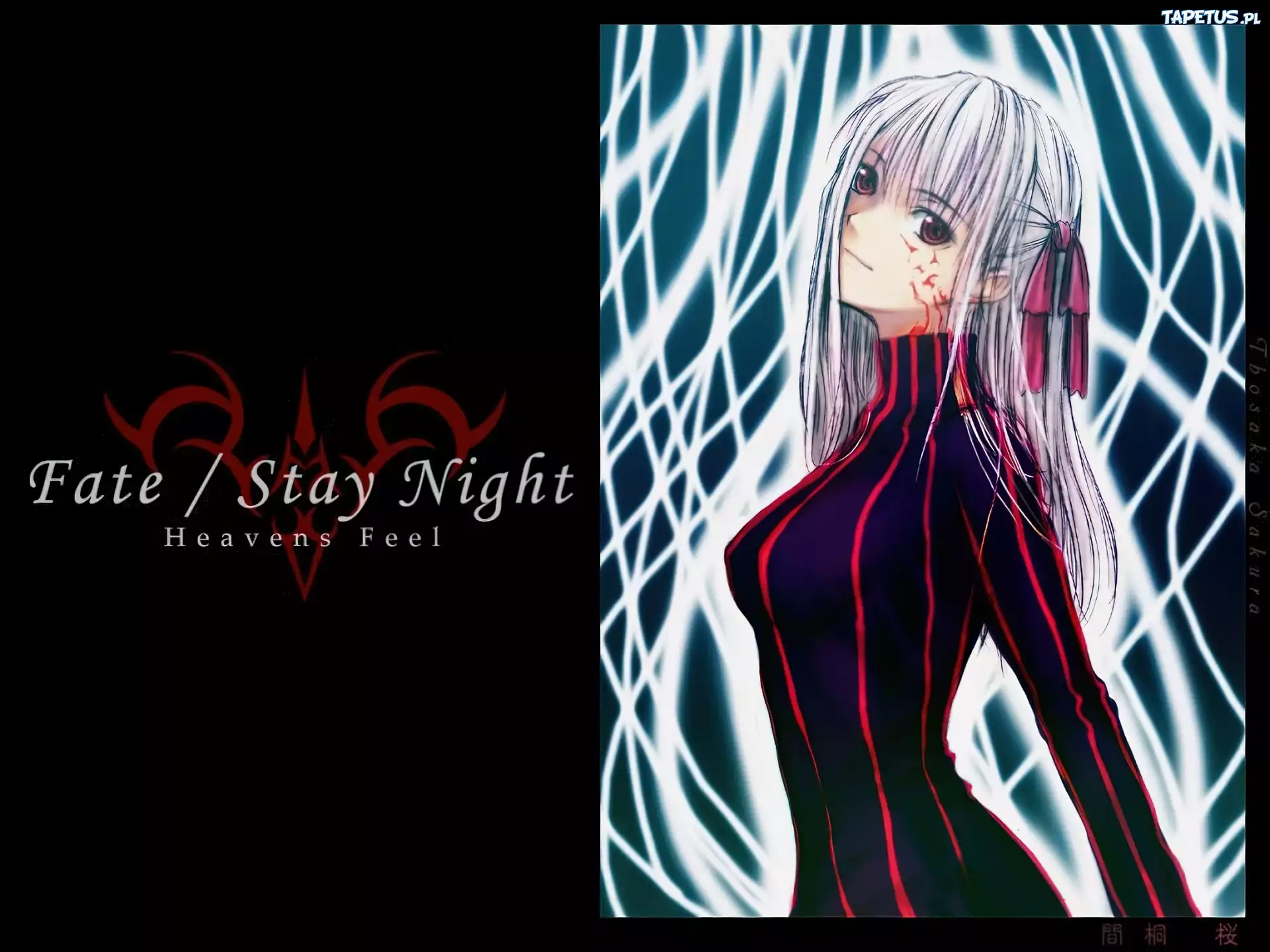 profil, Fate Stay Night, napis, dziewczyna