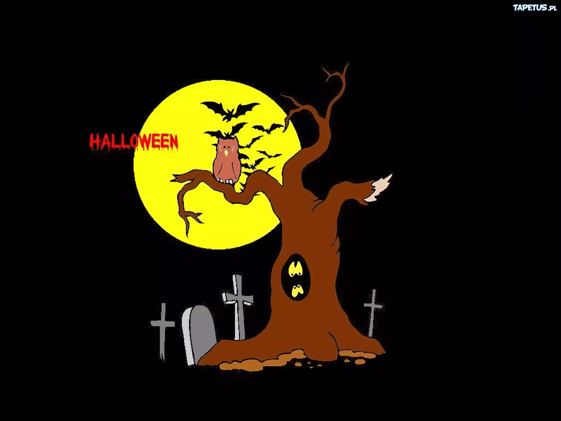 Halloween,nietoperzyki