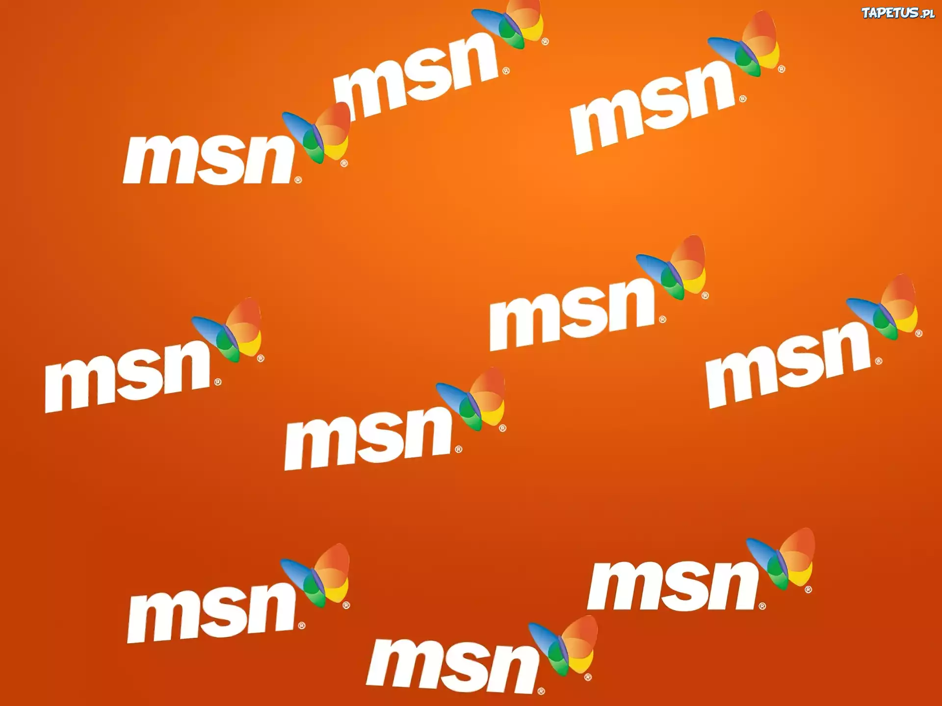 Programy MSN, grafika, motyl