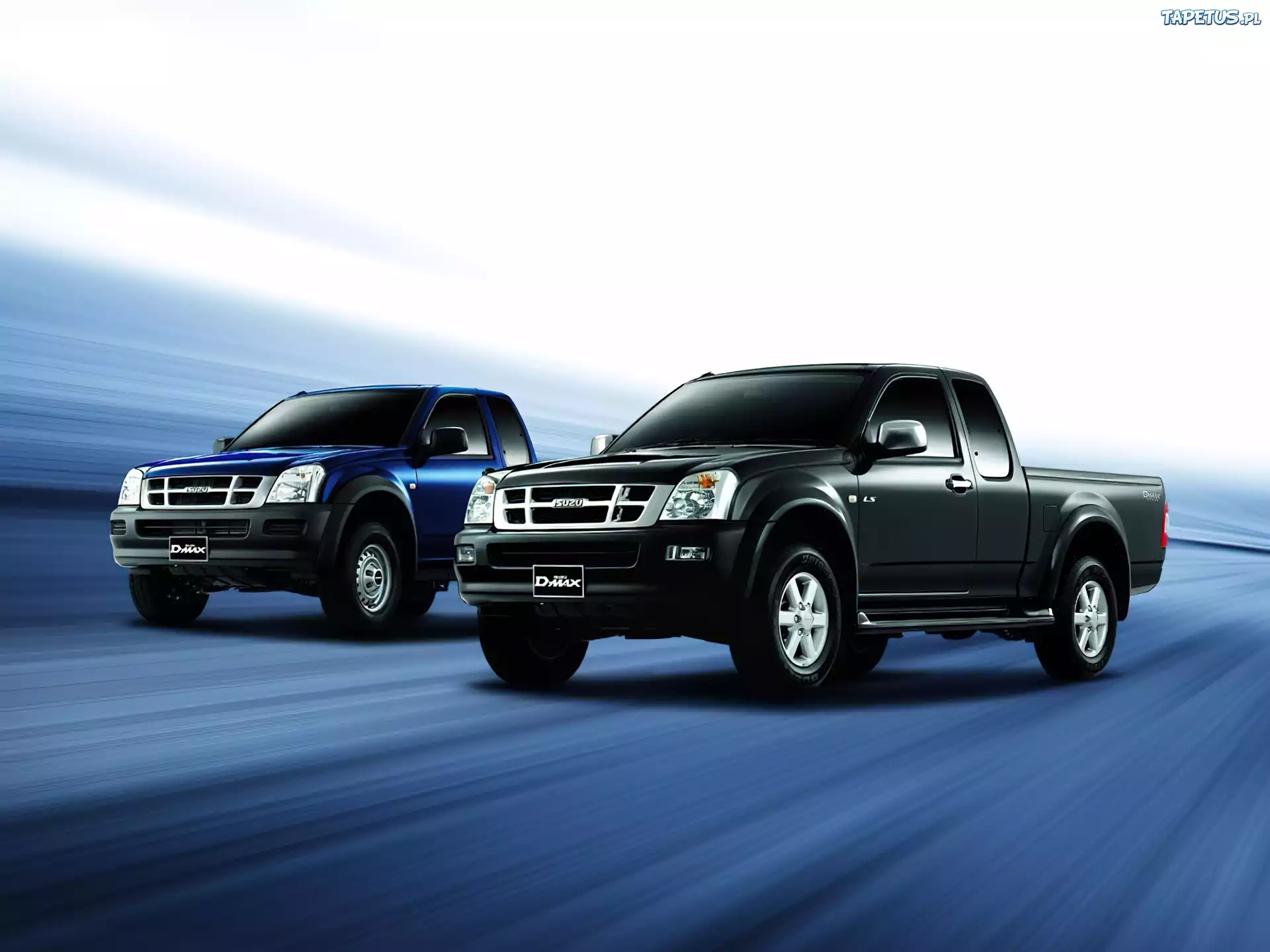 isuzu, Pickup