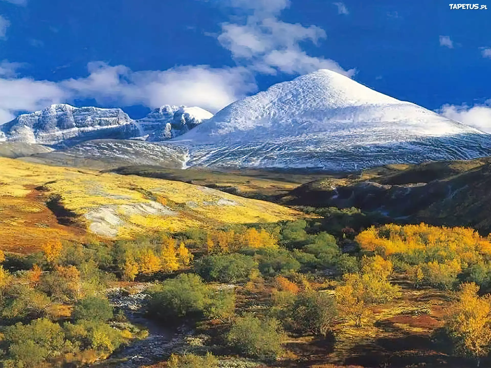 Góry, Chmurki, Krzewy