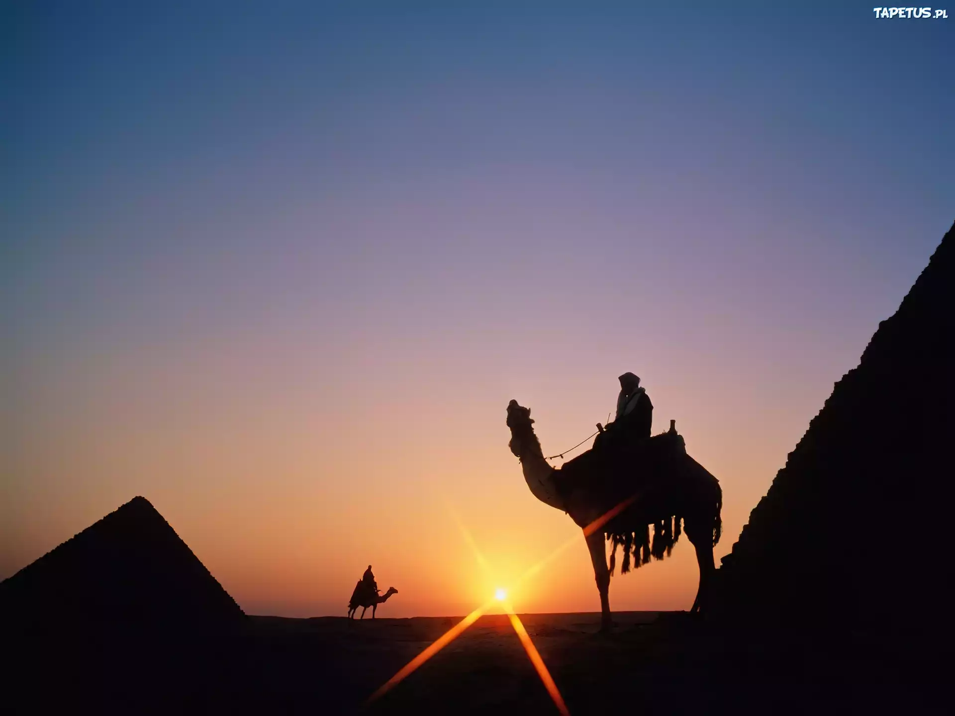 Караван путешествий. Египет пирамиды Верблюды. Египет туризм верблюд и пирамида. Пустыня пирамиды Караван. Египет пирамиды Караван.