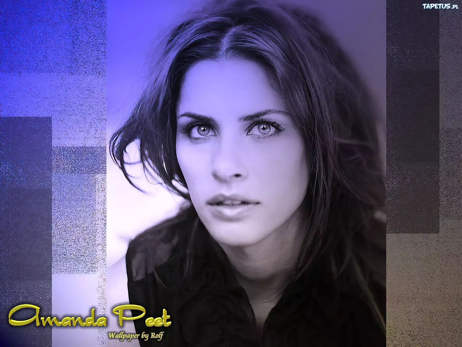 Amanda Peet