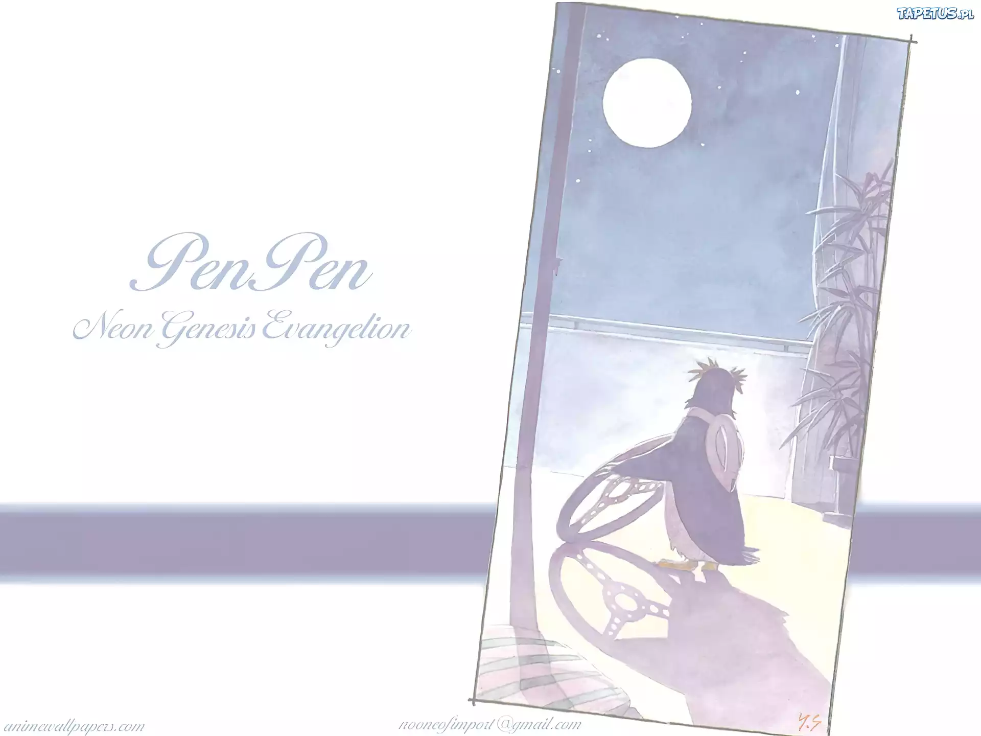 Neon Genesis Evangelion, pingwin, kierownica