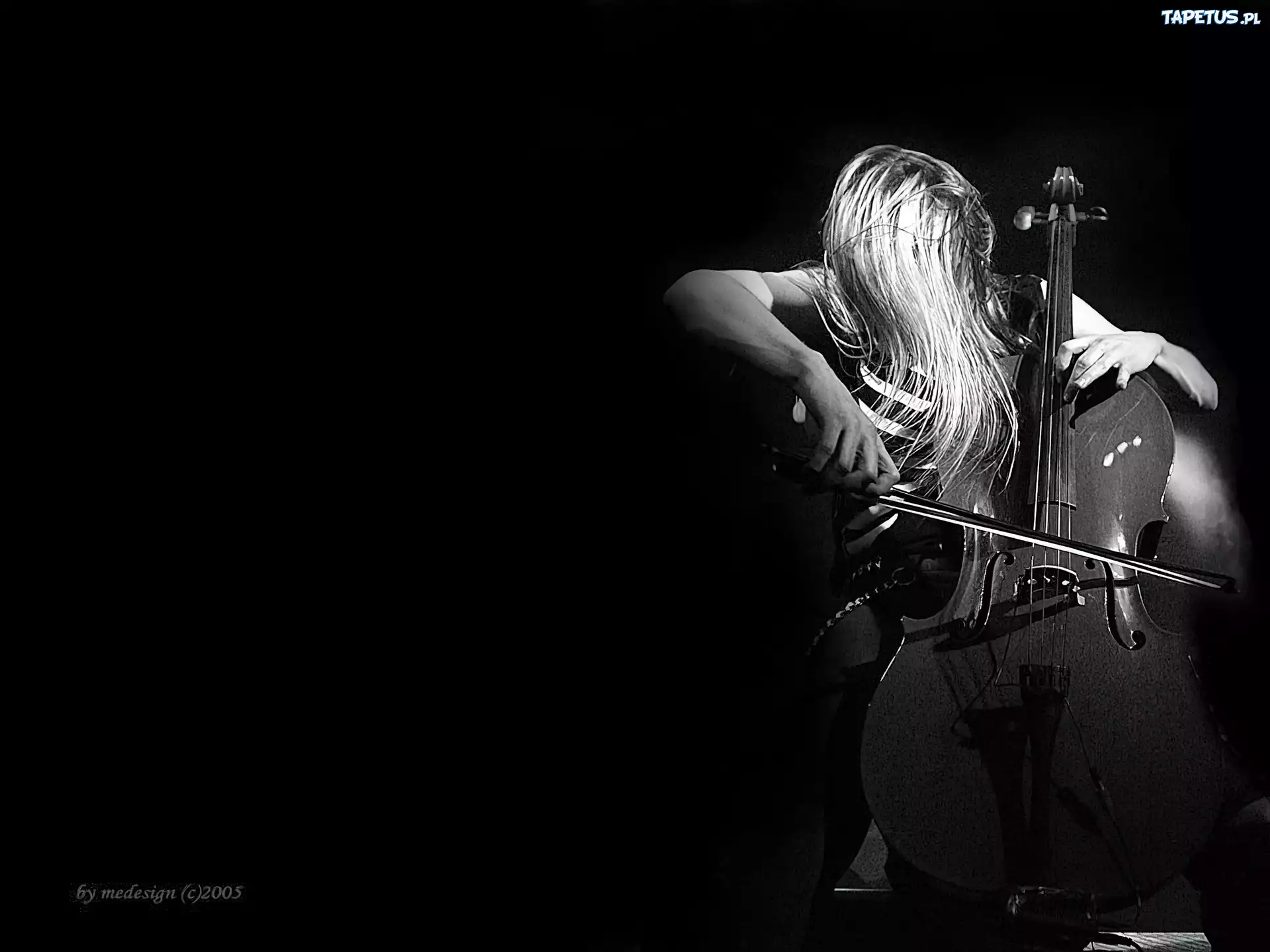 Apocalyptica,wiolonczela
