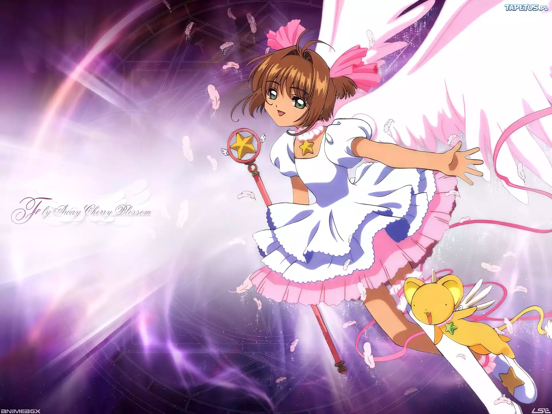 Cardcaptor Sakura, pluszak, napisy, kij różdżka