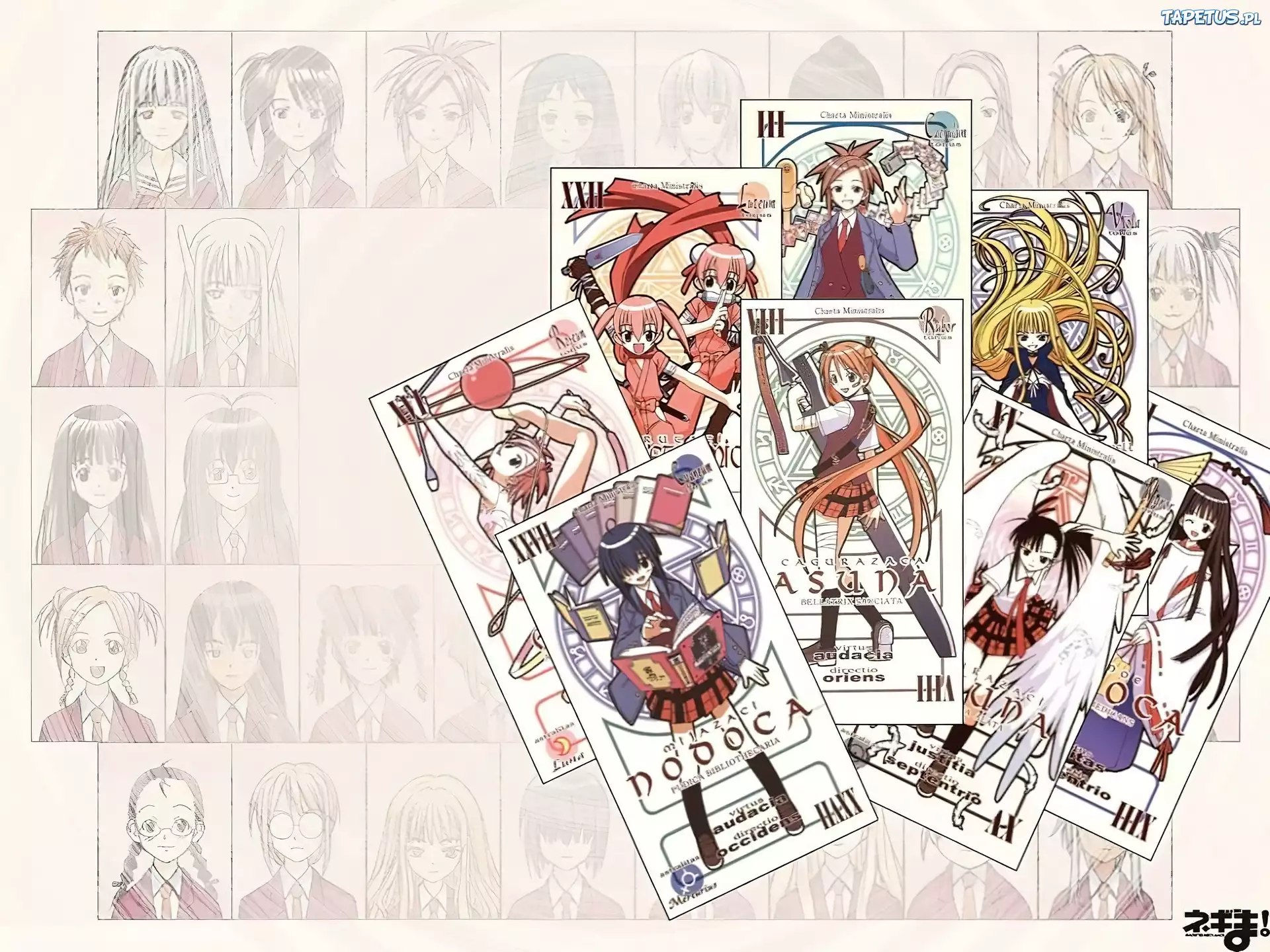 Mahou Sensei Negima, ludzie, karty