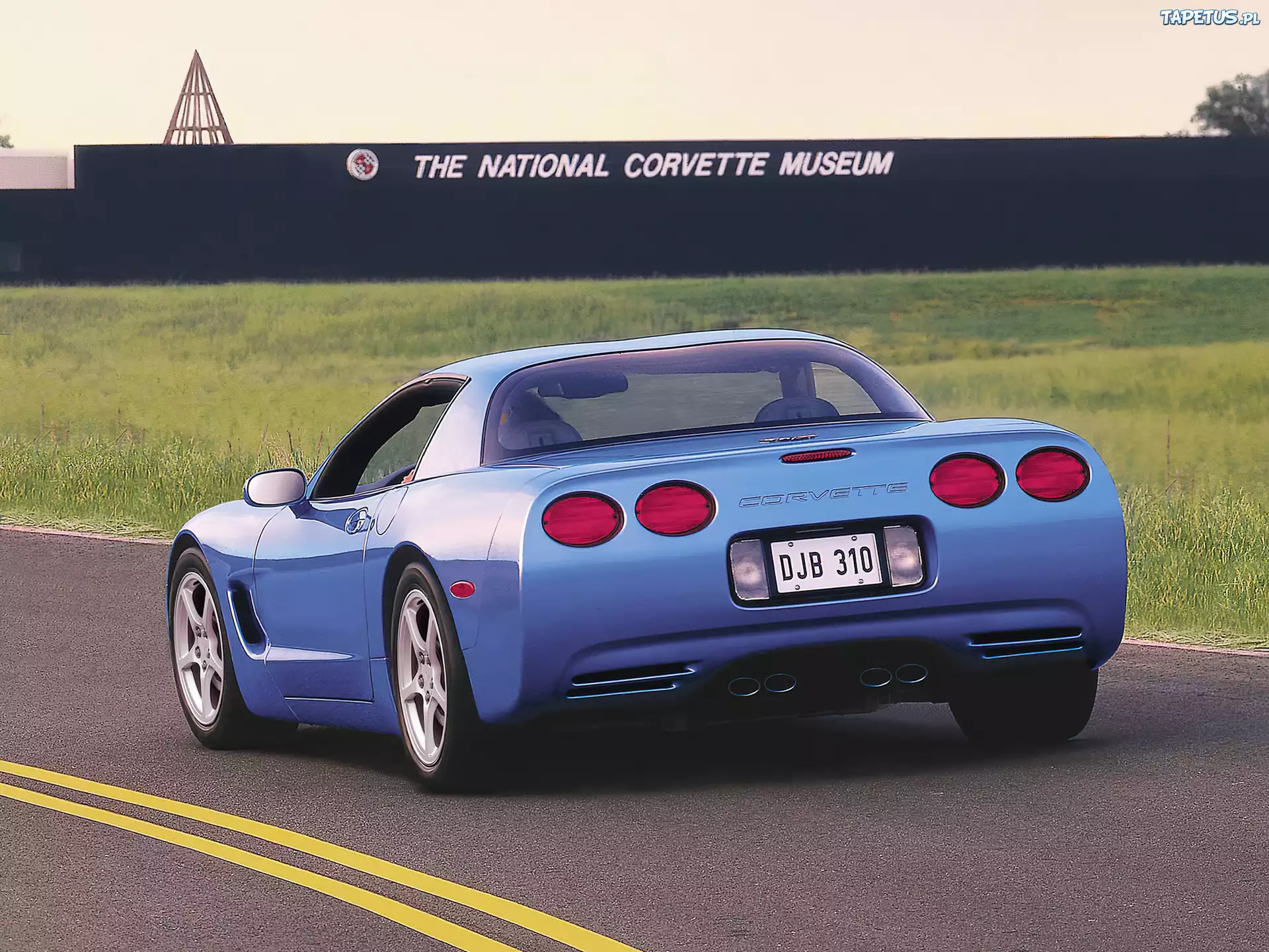 Corvette