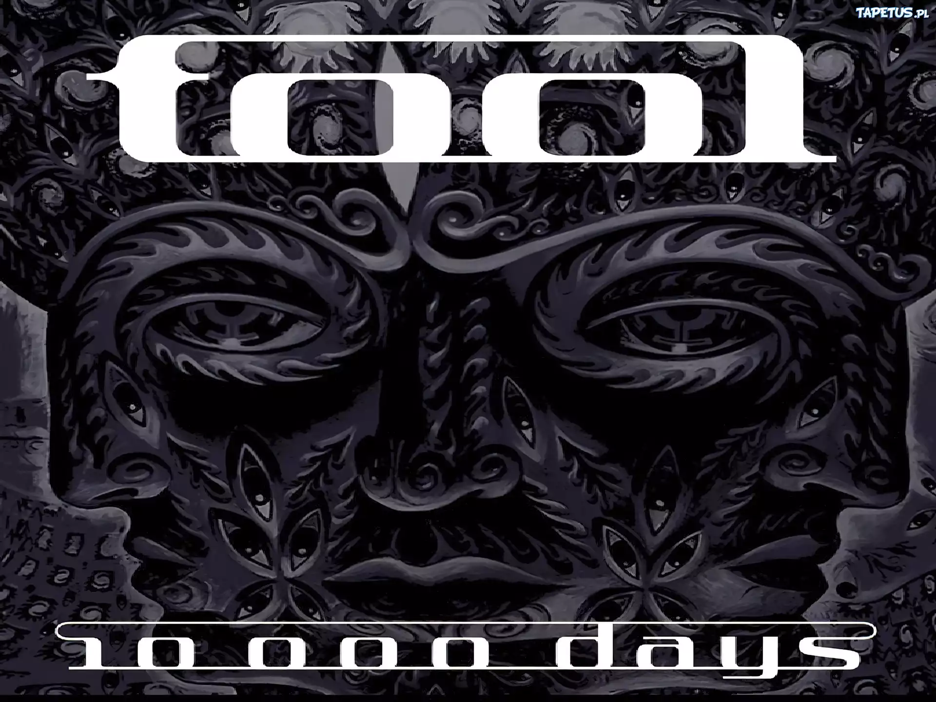 Tool,maska