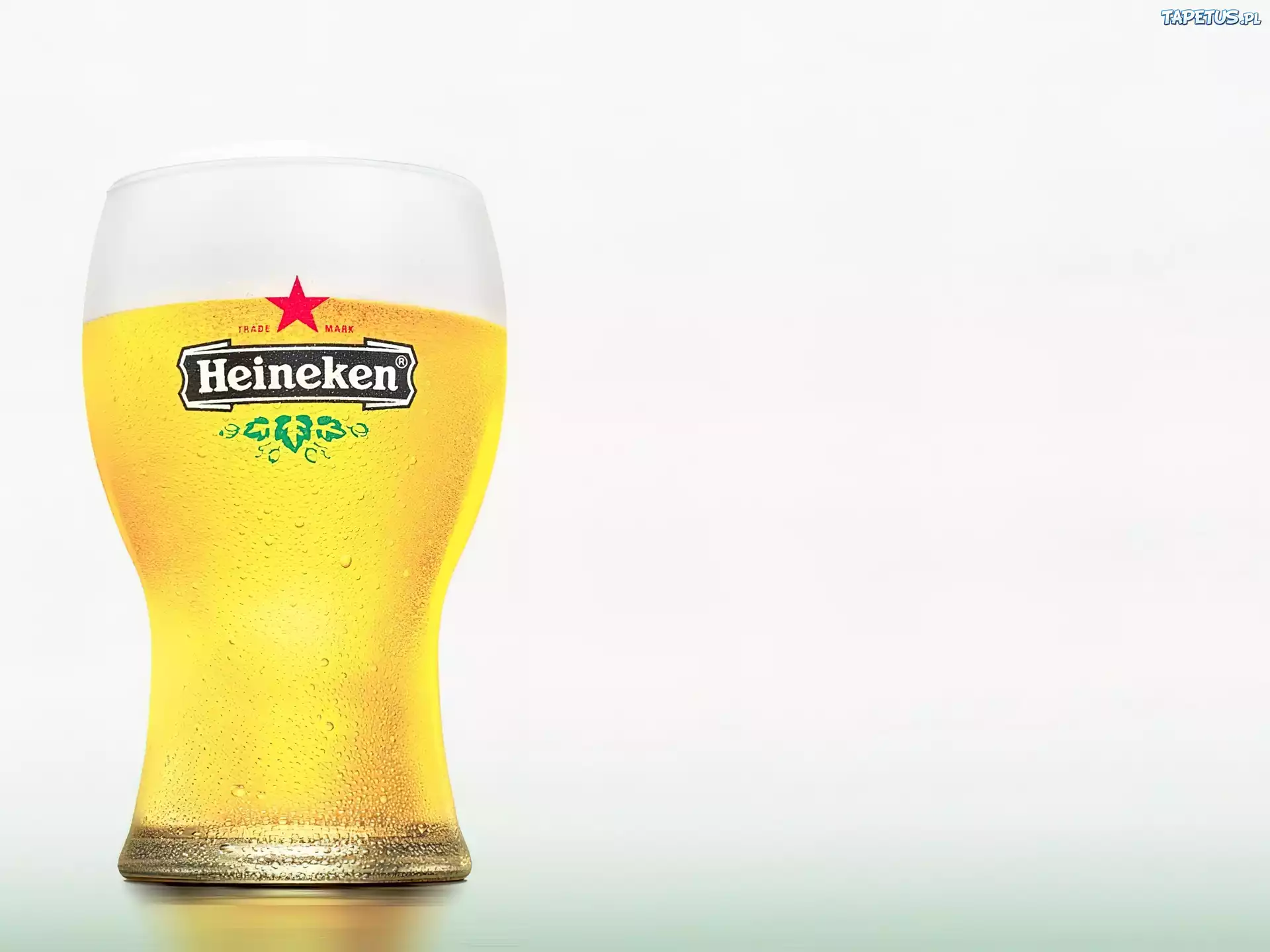 Piwo, Heineken, piana