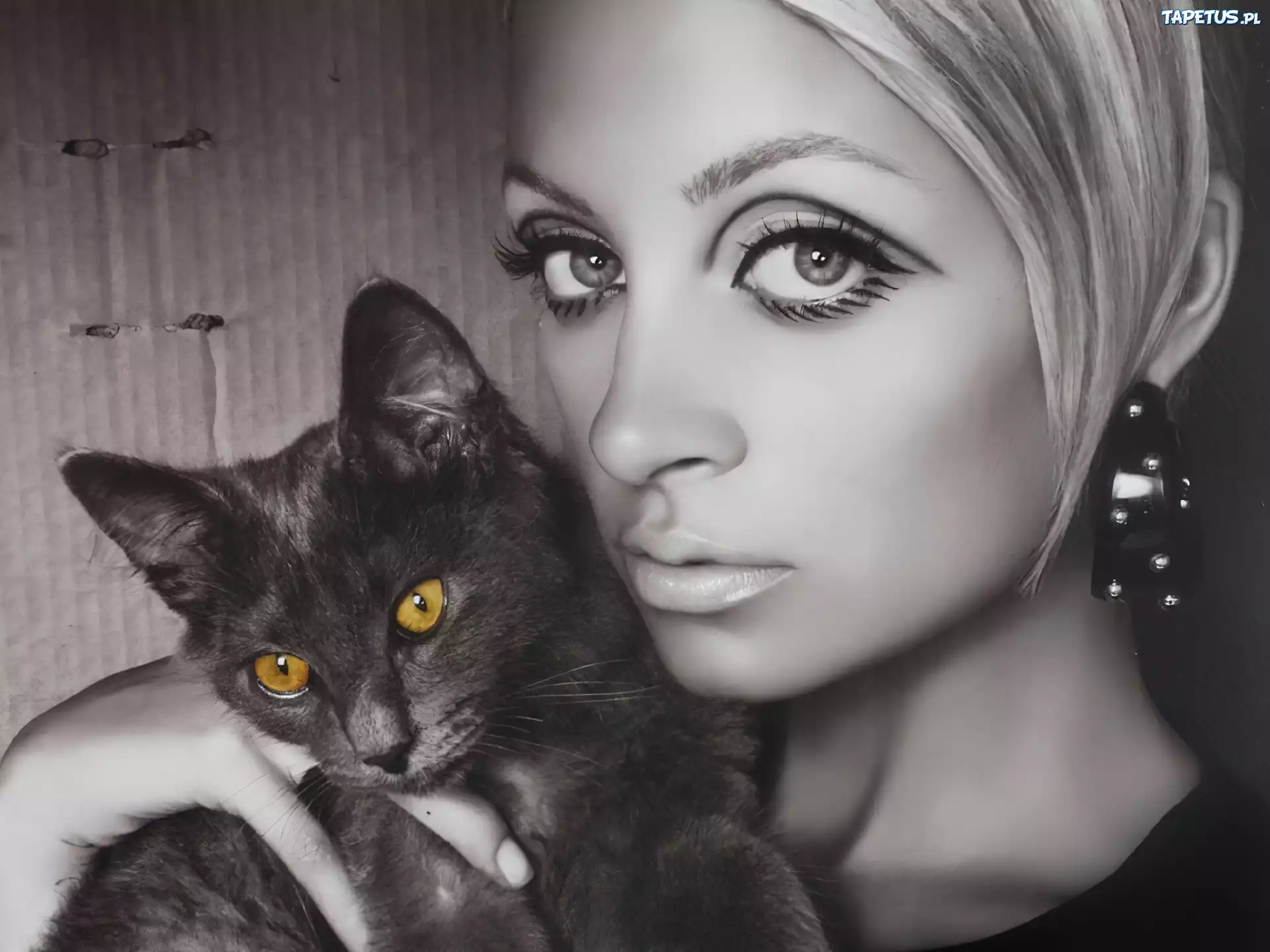 Nicole Richie,kotek