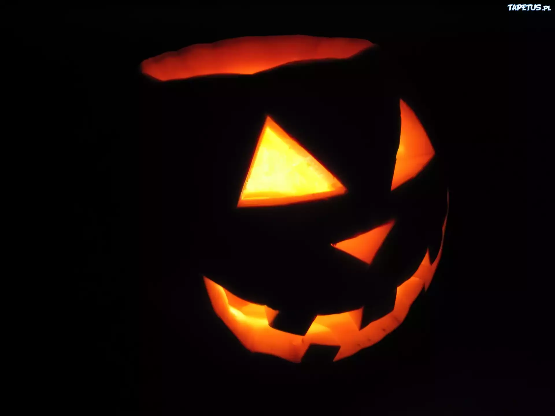 Halloween,dynia