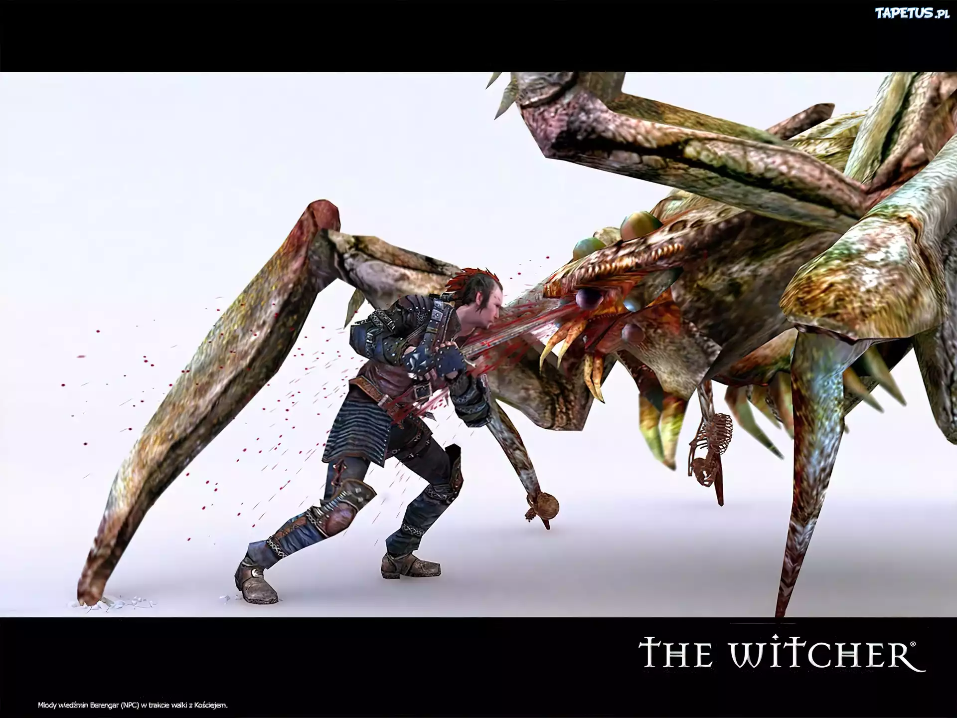 potwór, wojownik, mężczyzna, miecz, The Witcher