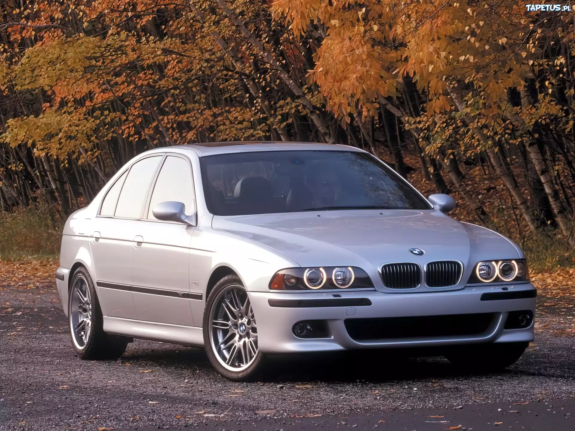 BMW, M5, E39