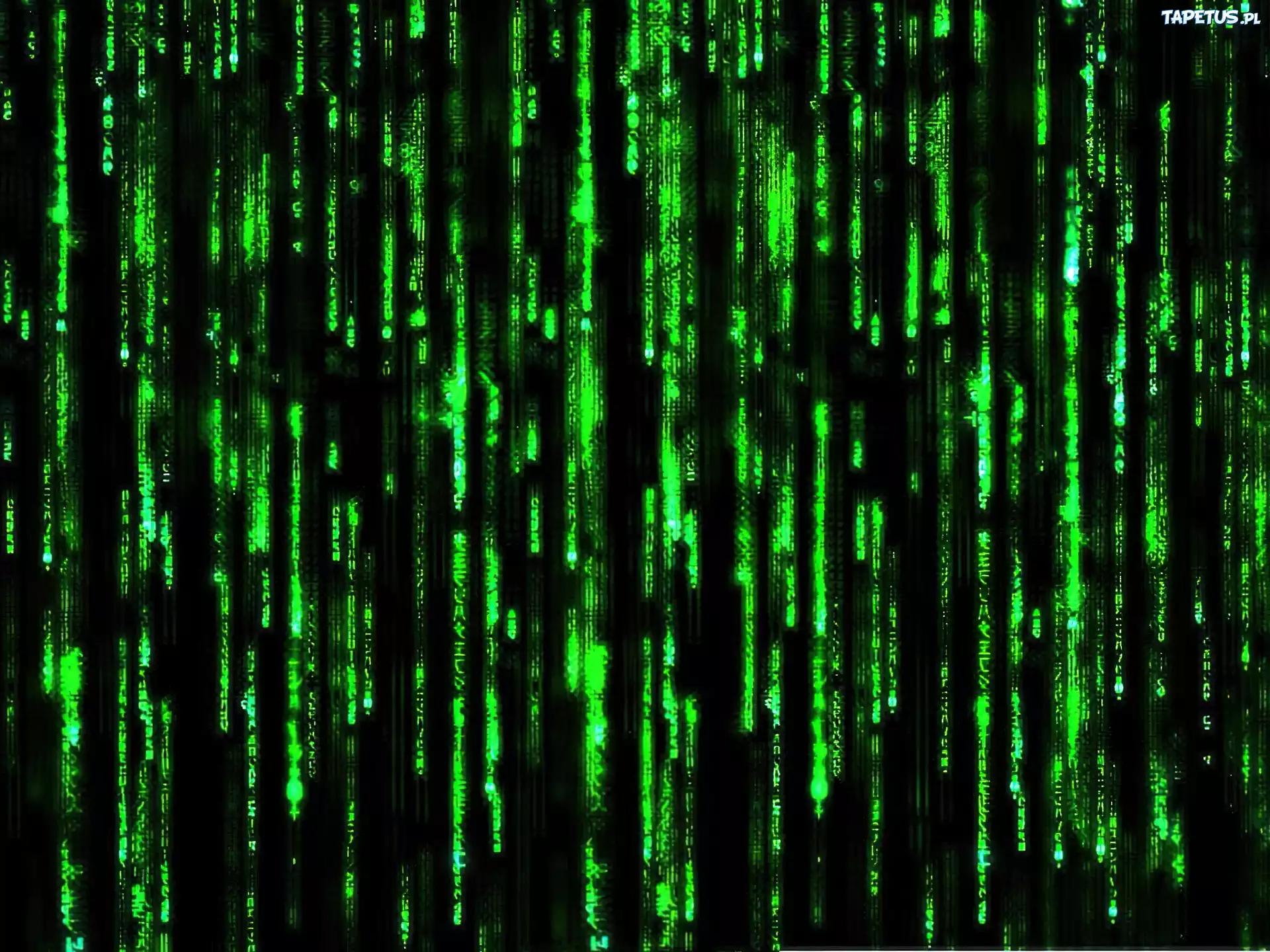 Matrix, tło, zielone, kreski