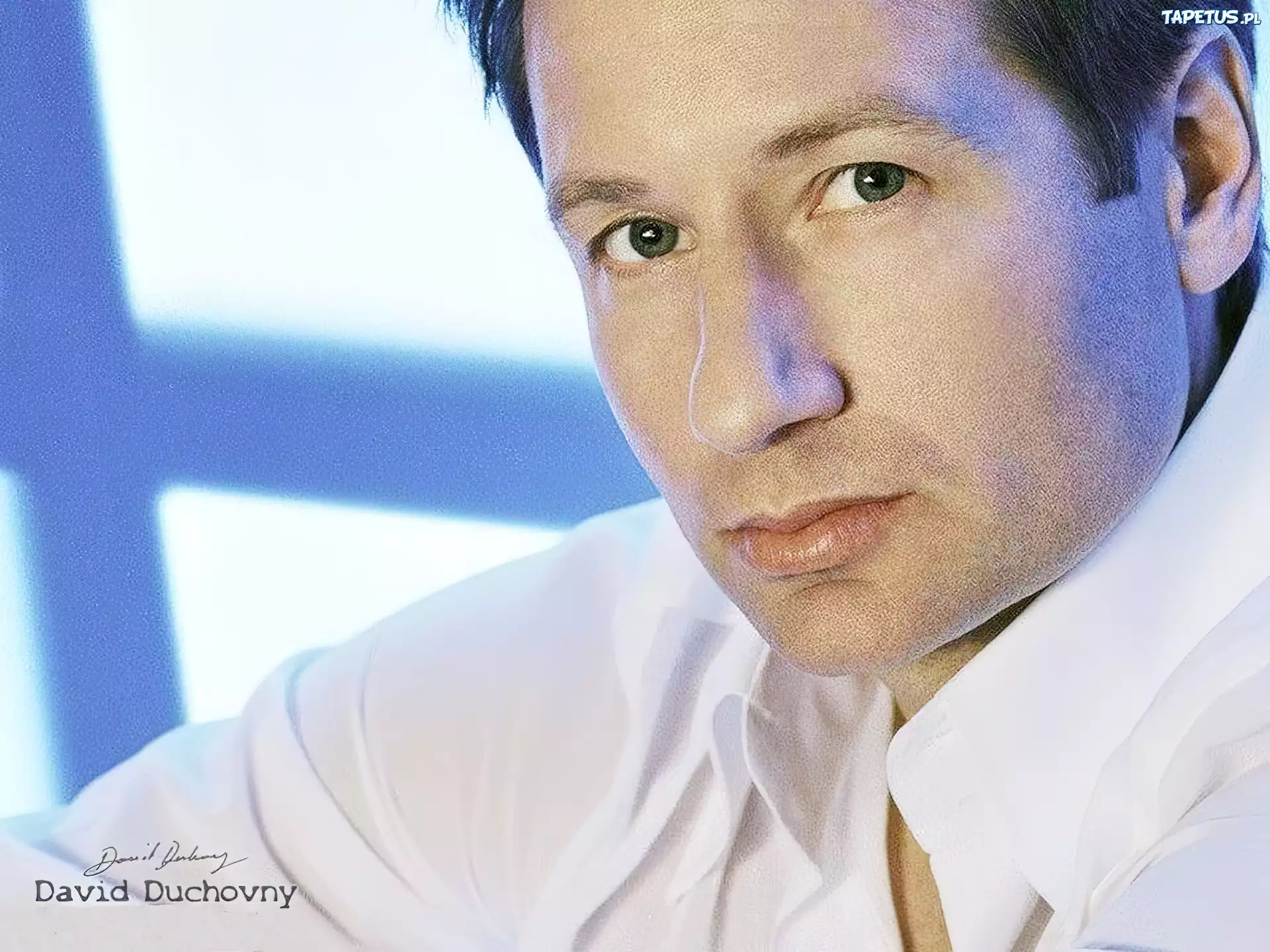 David Duchovny,biała koszula, zielone oczy