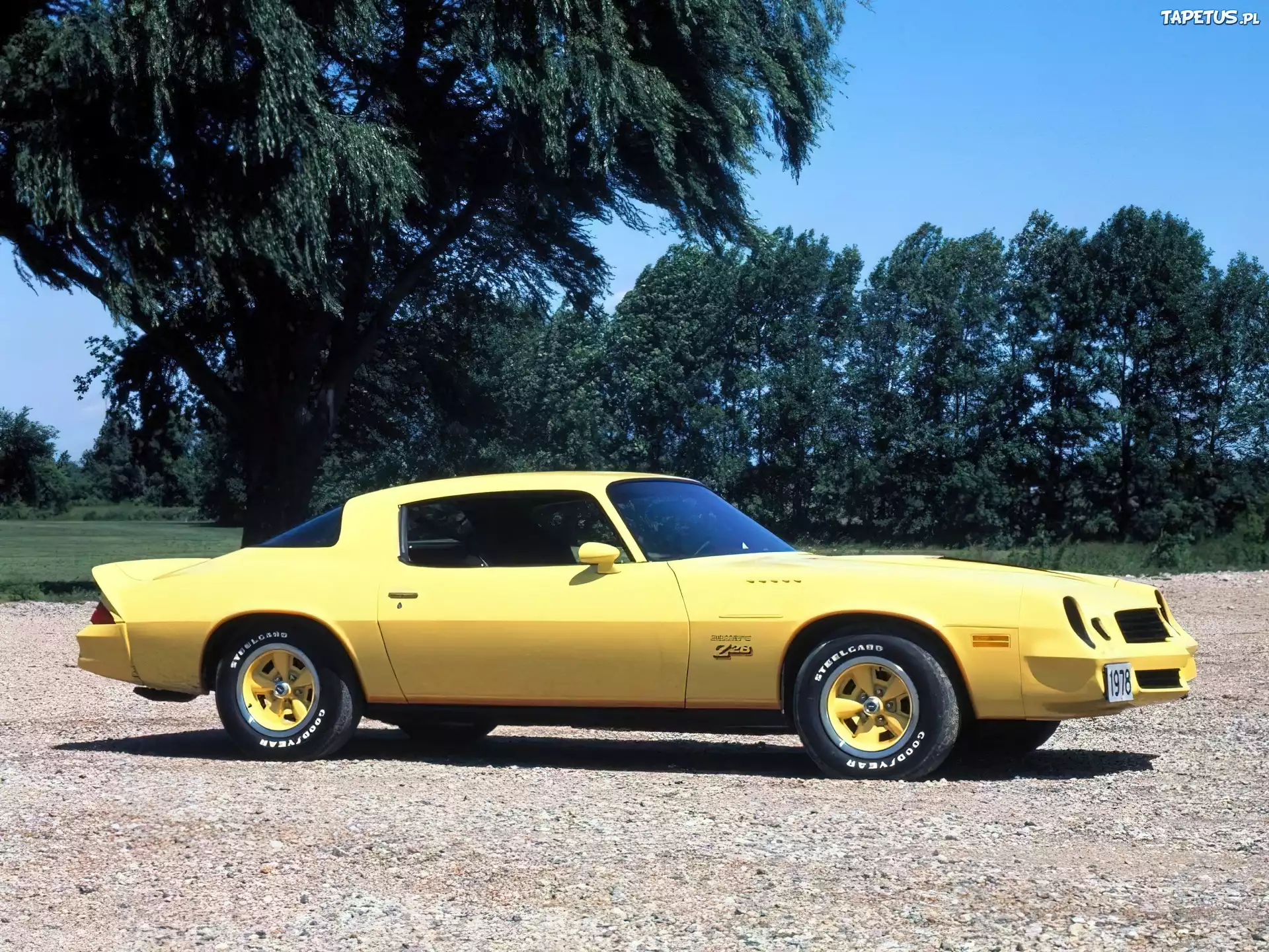 Żółty, Chevrolet Camaro, Z28