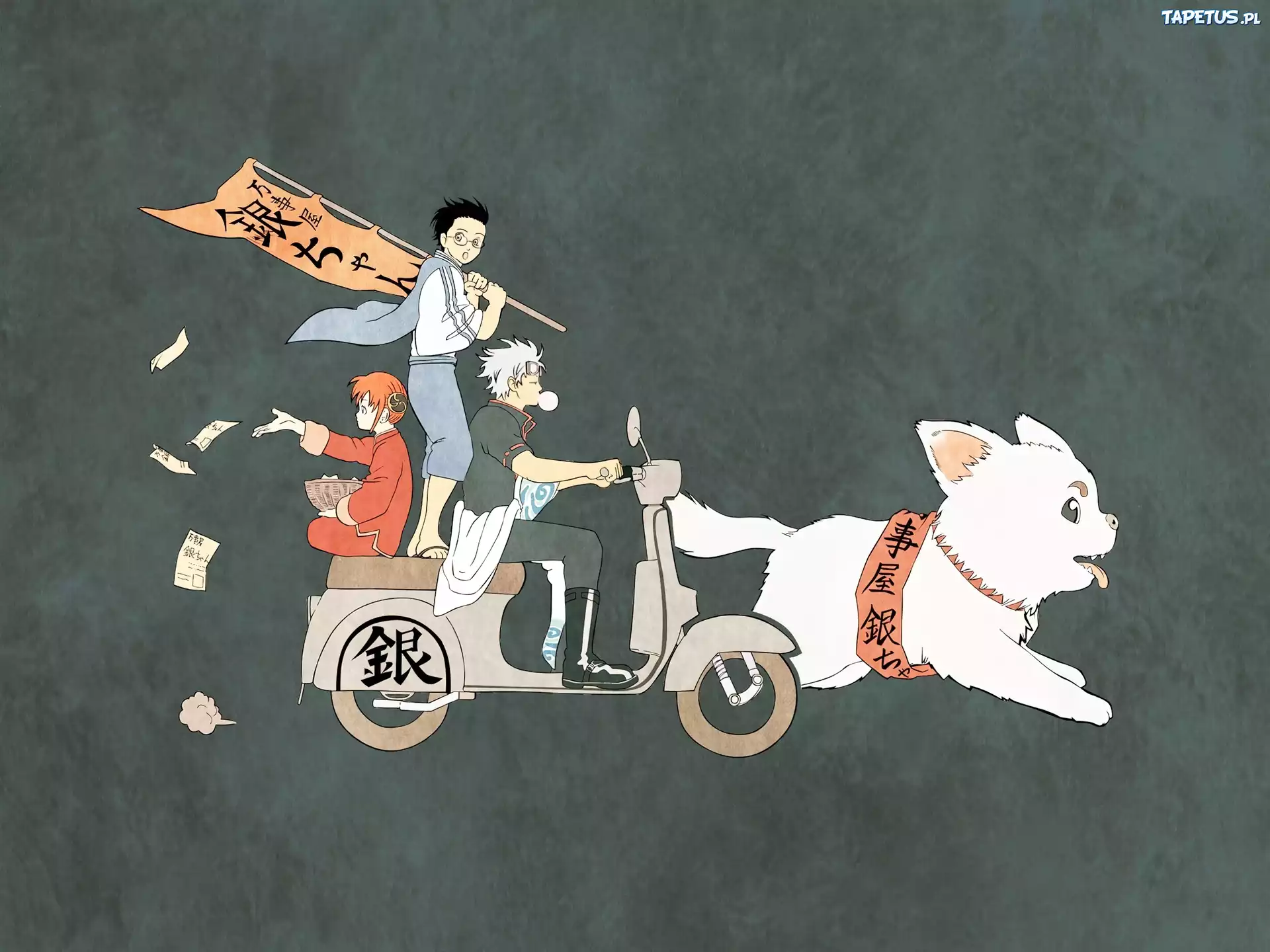 Gintama, Skuter, Kot