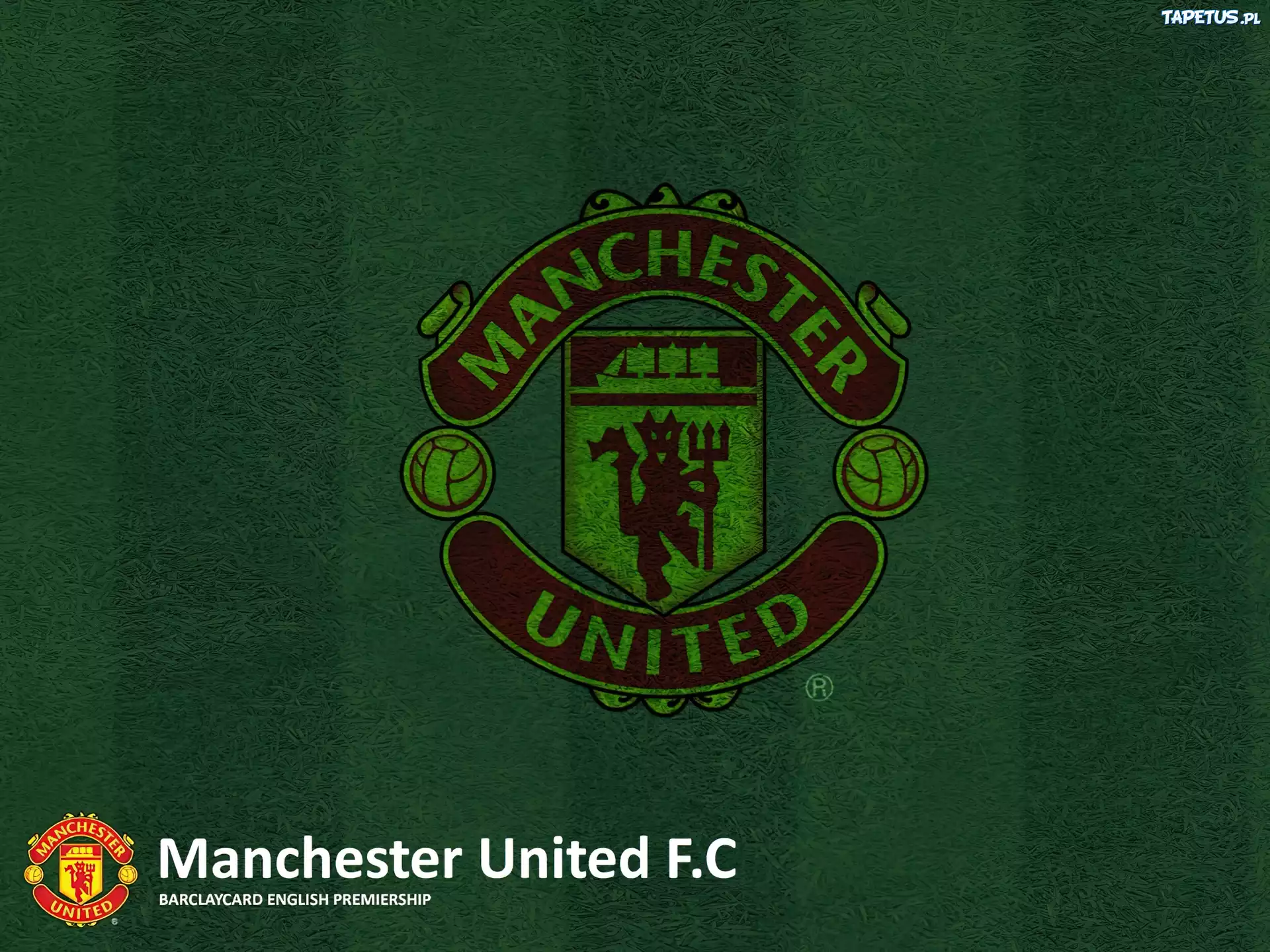 Herb, Manchester United, Przyciemnienie