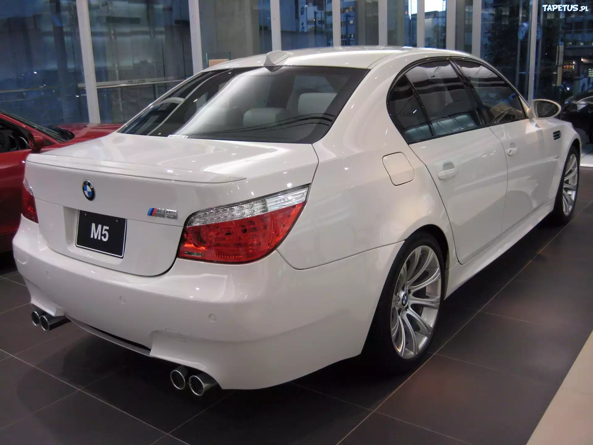Biały, BMW 5, E60, Tył, Światła