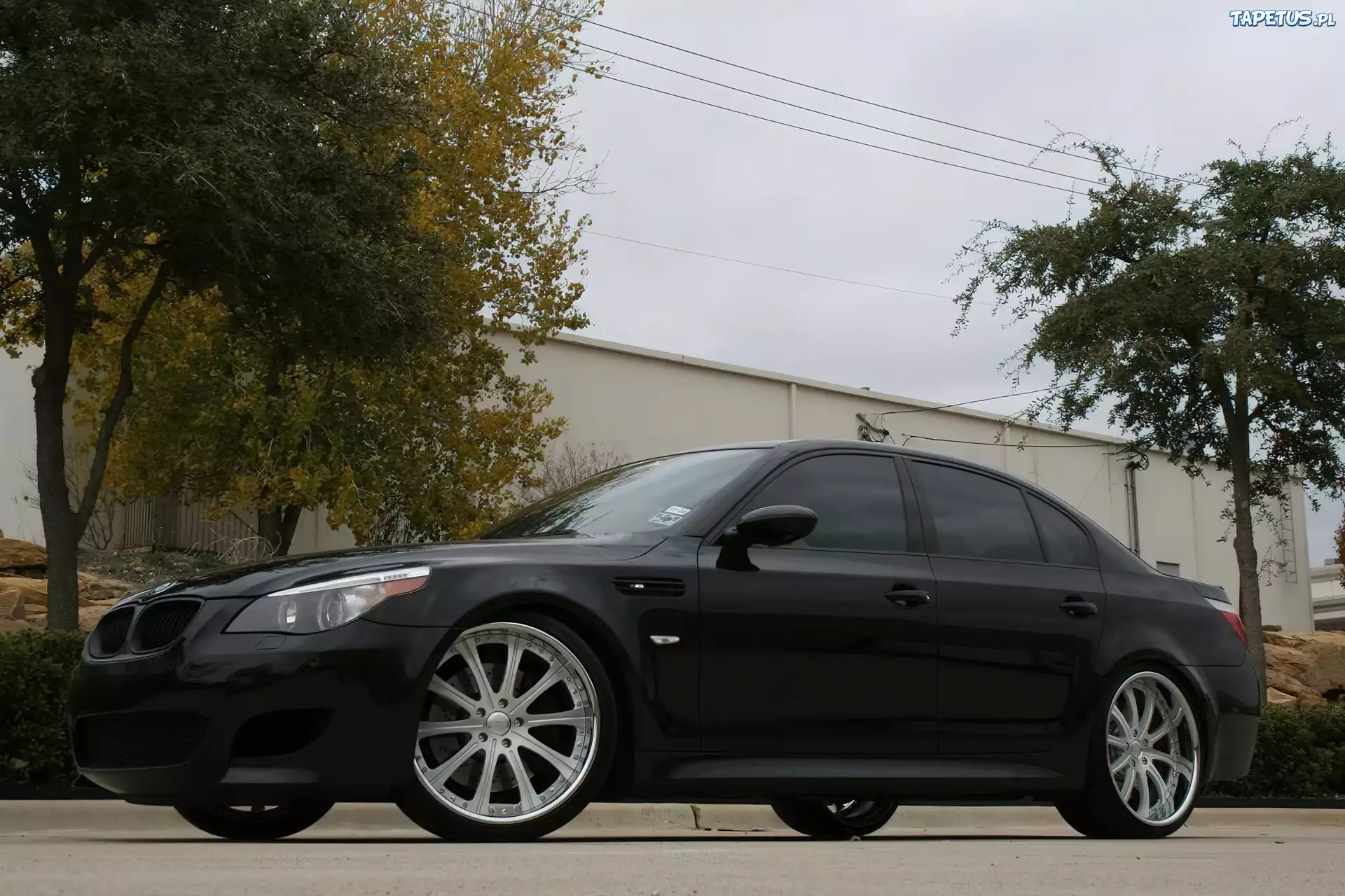 Czarny, BMW 5, E60, Ulica, Mur