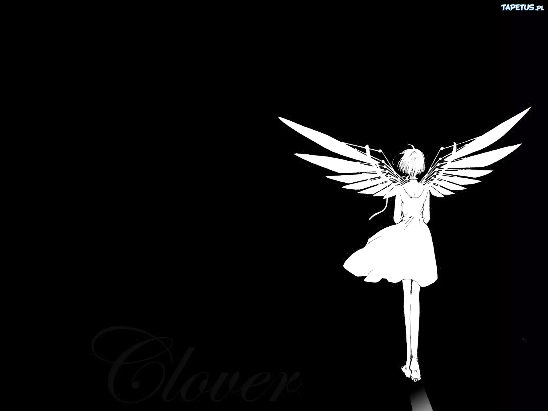 Clover, kobieta, skrzydła