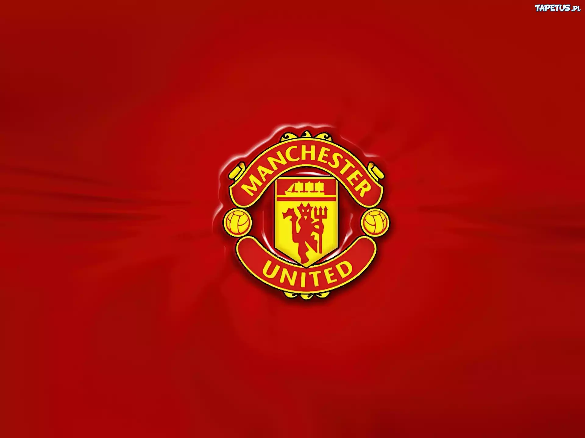 Herb, Manchester United, Czerwony, Błyszczący