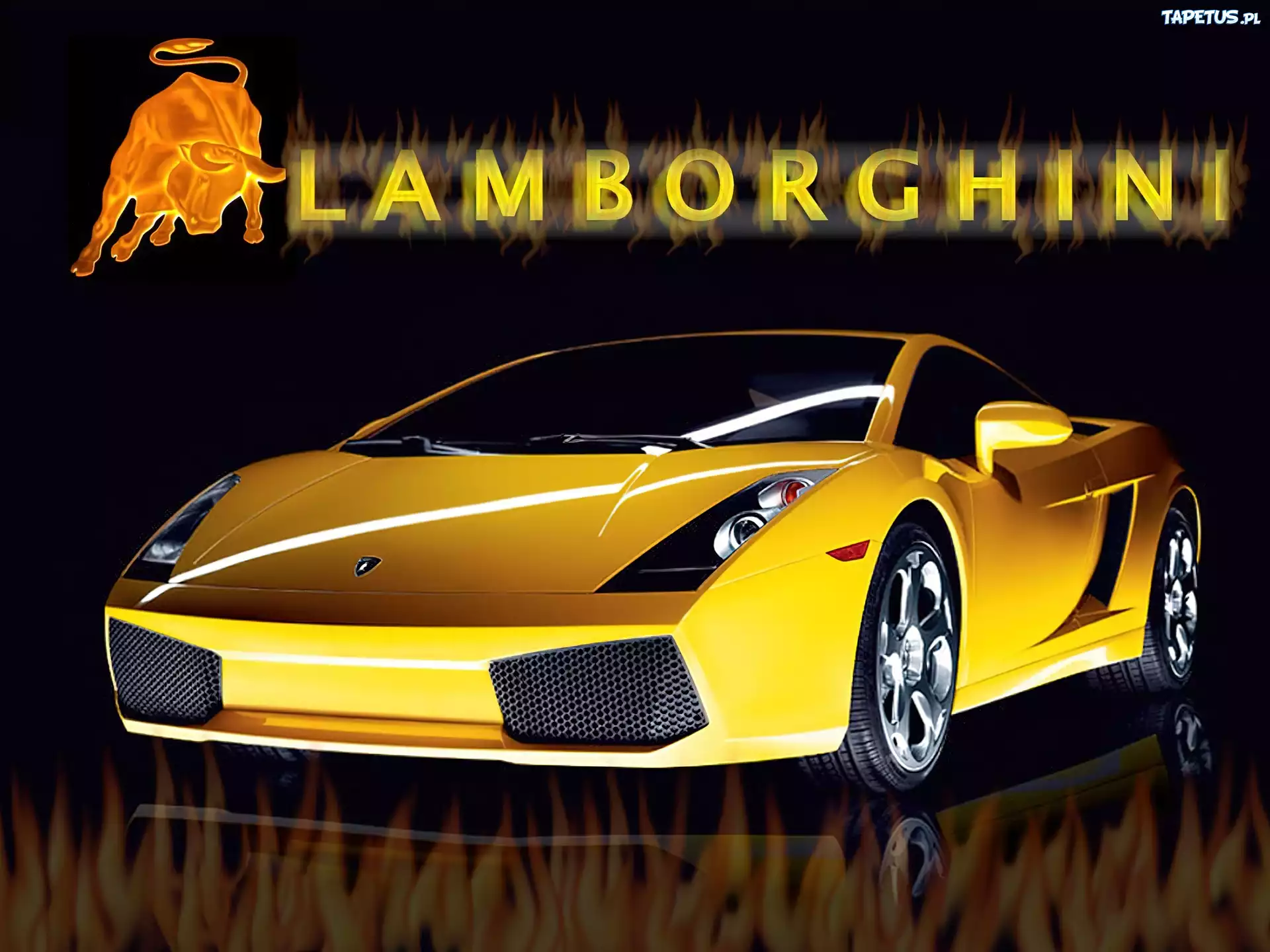 Lamborghini Gallardo, Byk