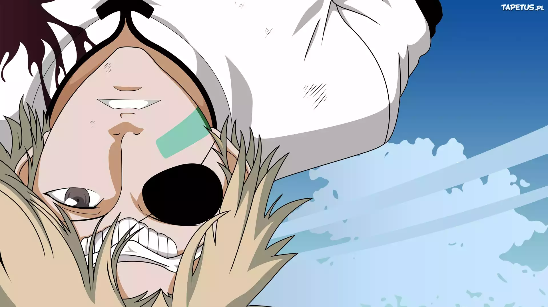 Bleach, Opaska, Biały, Garnitur, do góry nogami