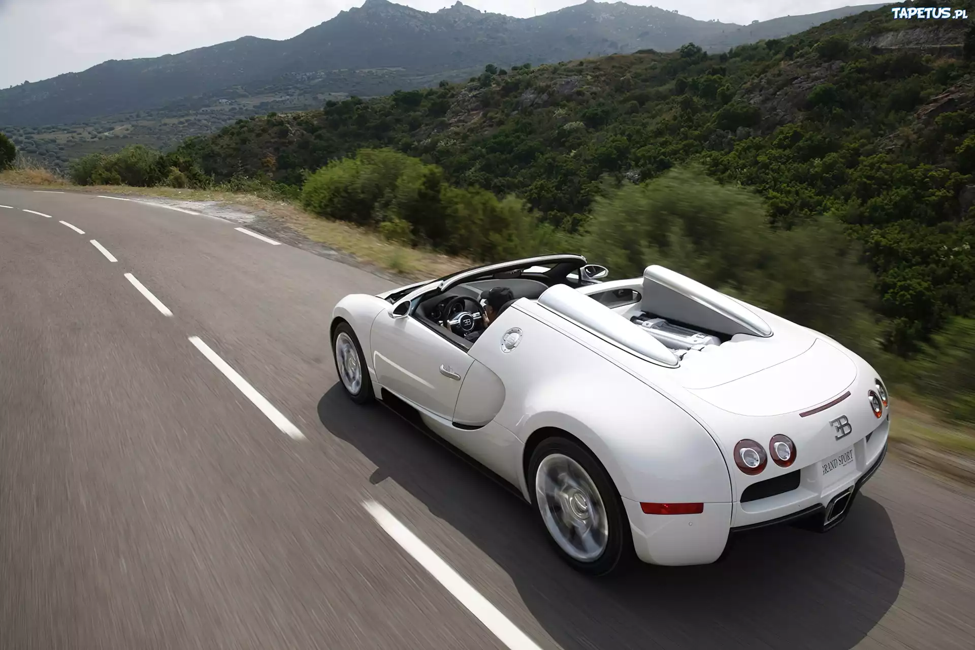 Biały, Bugatti Veyron, Cabrio