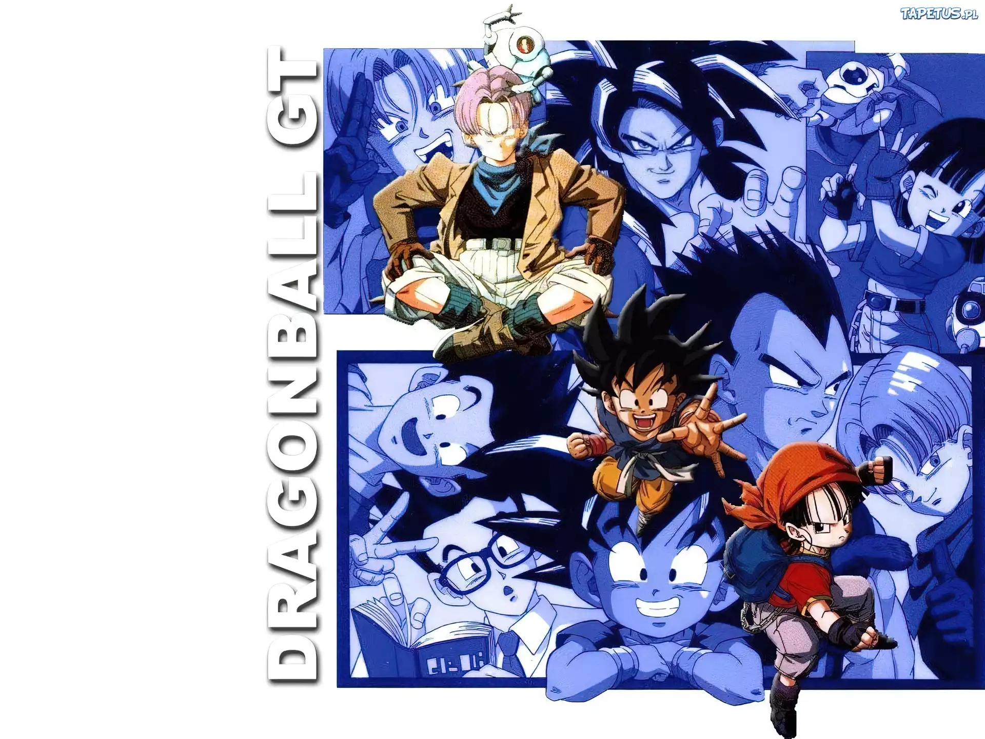 Dragon Ball GT, Pam