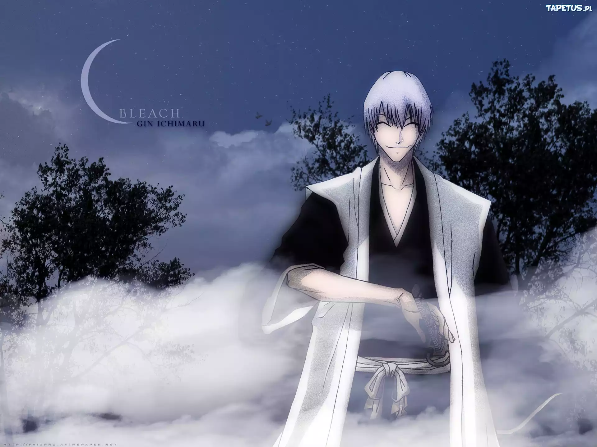 Bleach, Gin Ichimaru, Noc