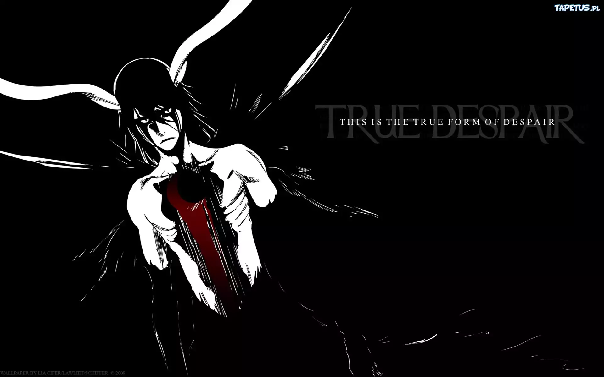 Czarny, Bleach, Shadow