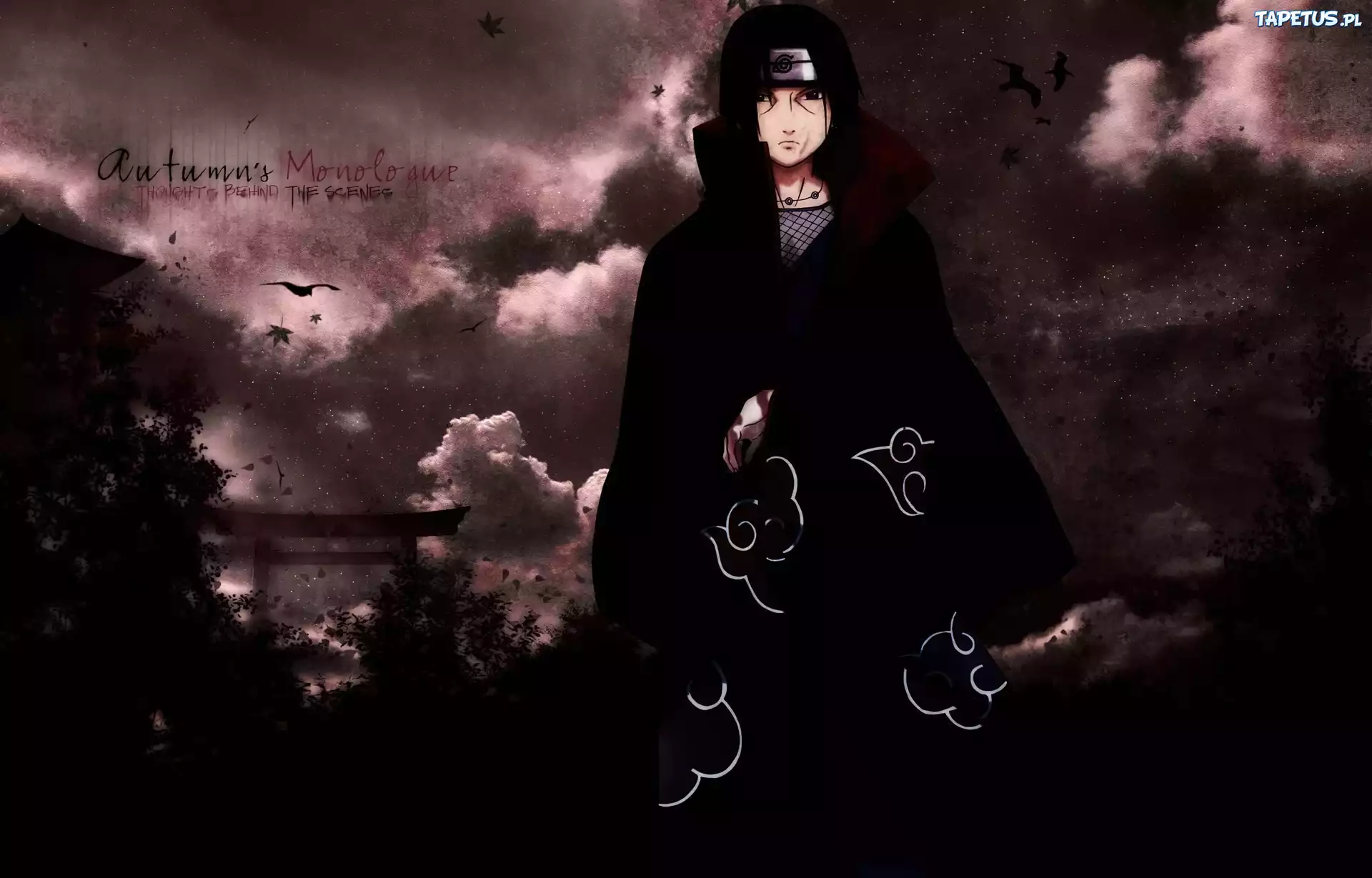 Naruto, Uzumaki, Ninja