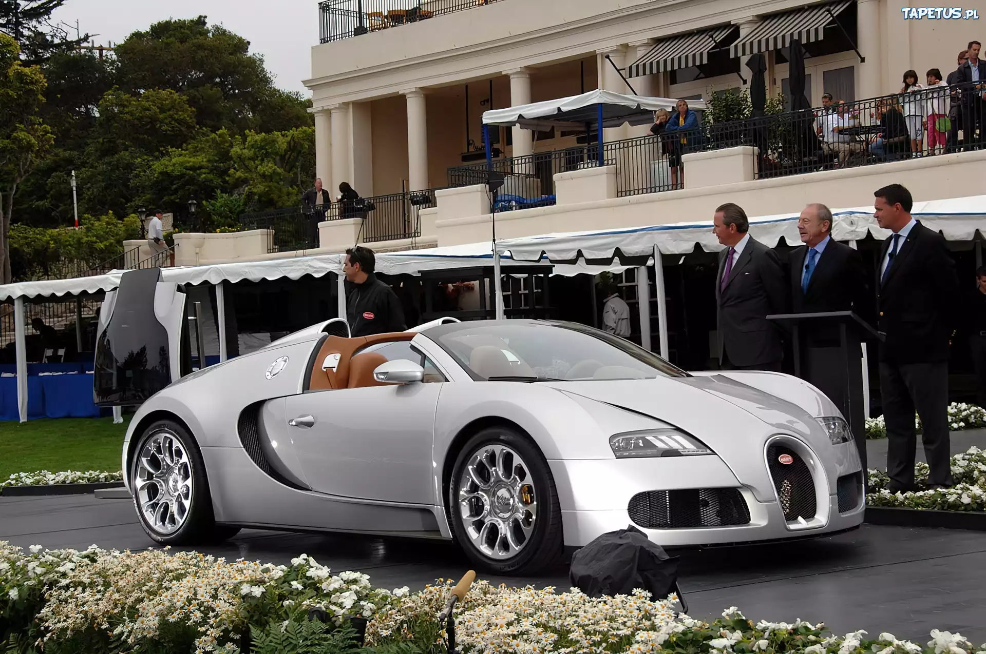 Srebrny, Veyron, Cabriolet, Wystawa