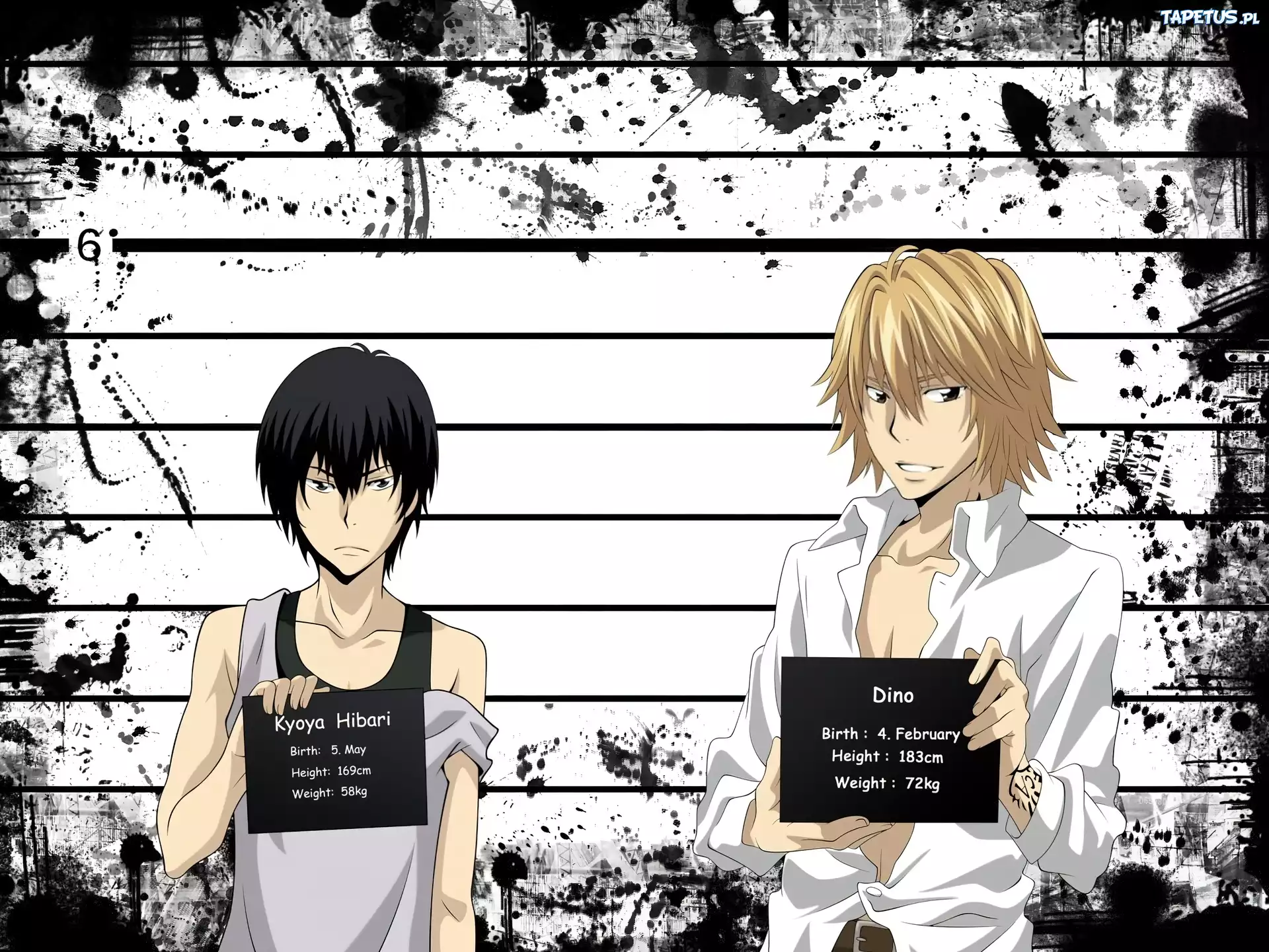 Katekyo Hitman Reborn, Kyoya Hibari, Dino