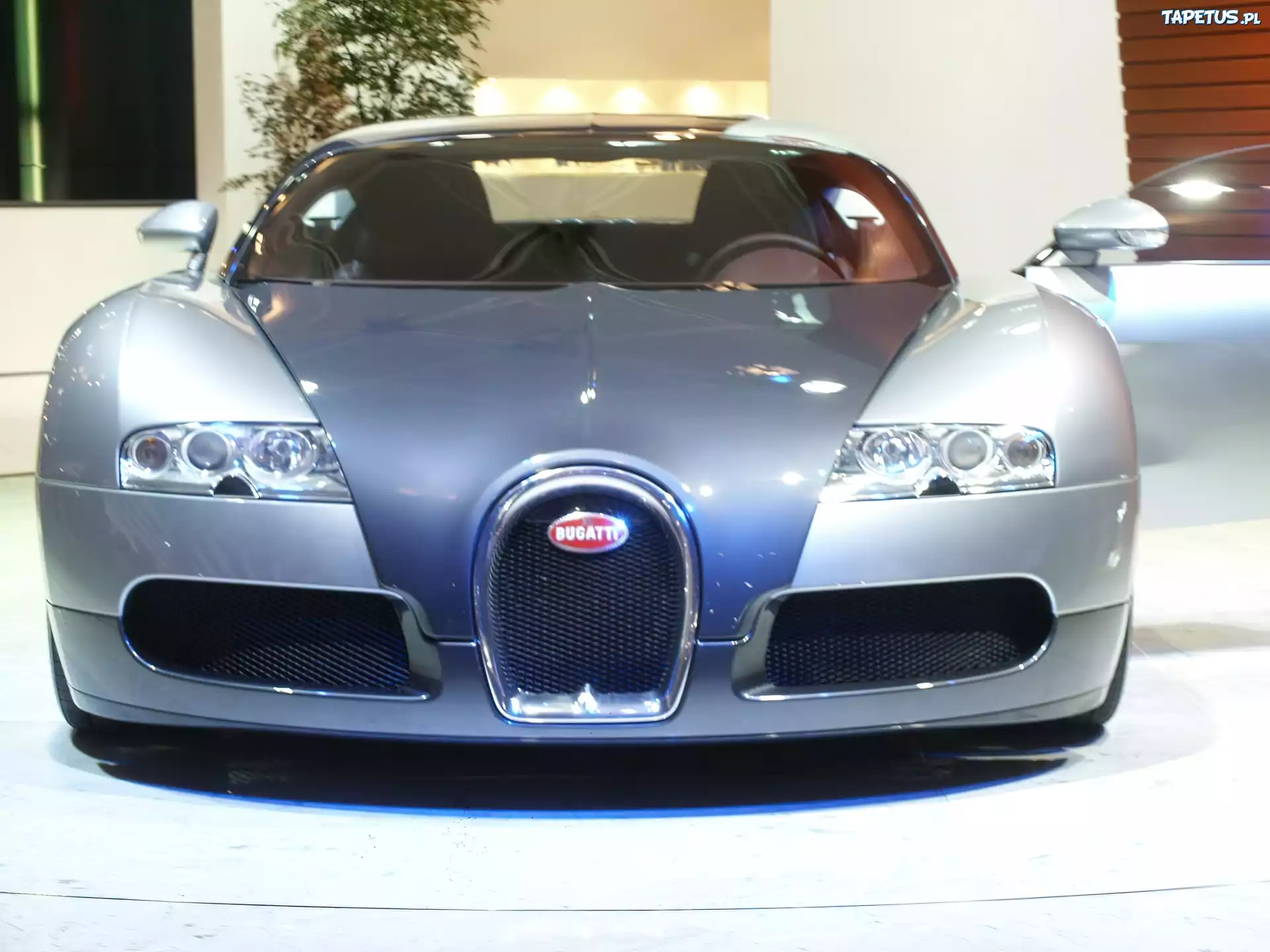 Bugatti Veyron, Światła, Przód, Silver