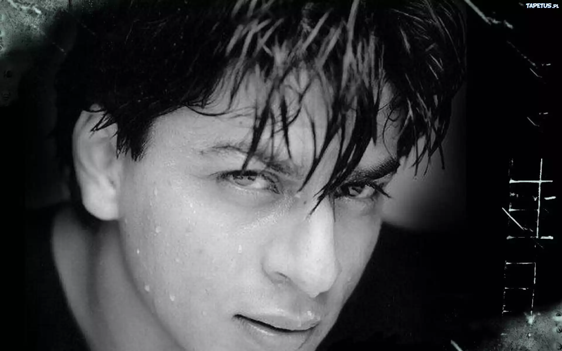 Twarz, Shahrukh Khan