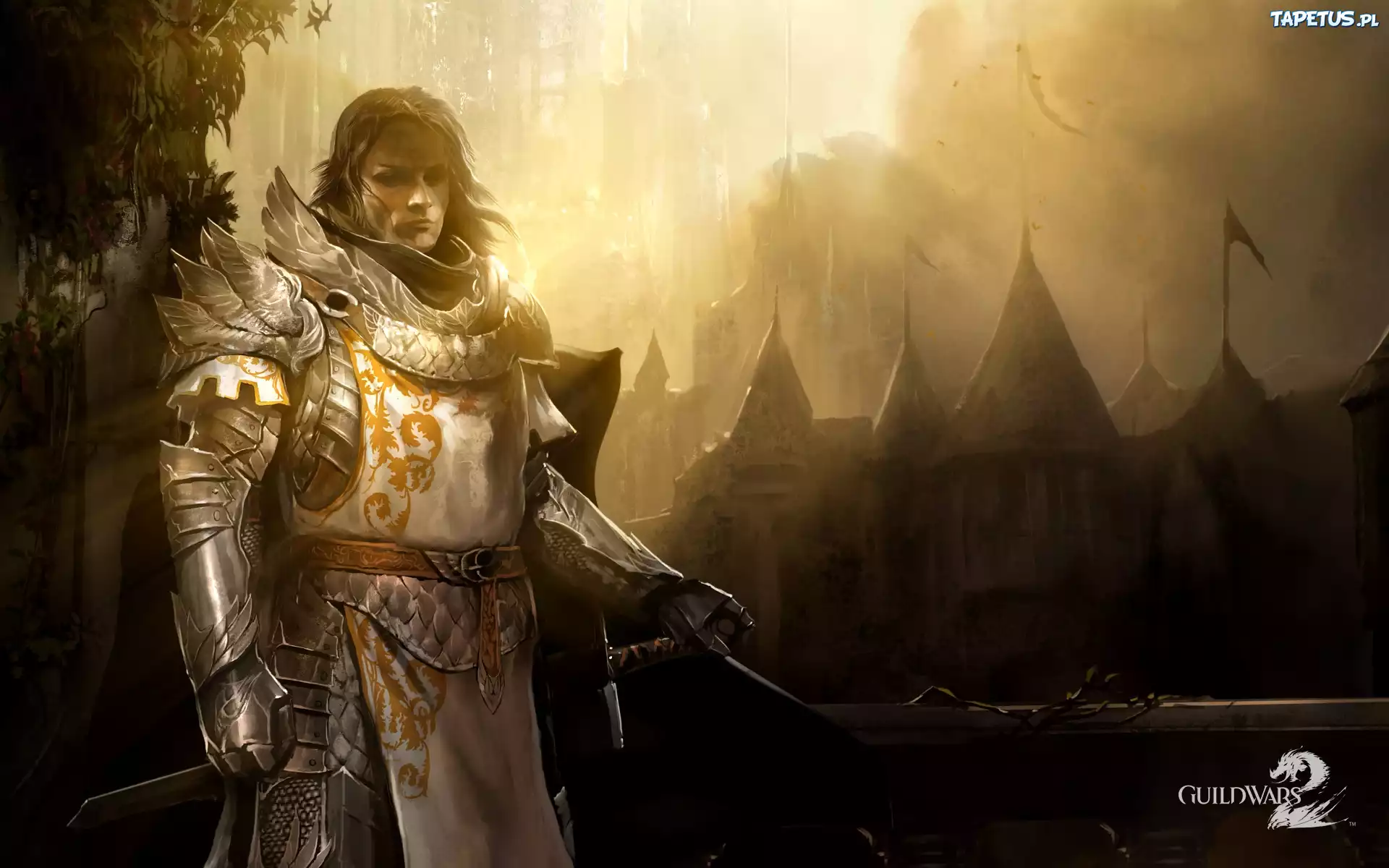 Guildwars, 2, Zbroja