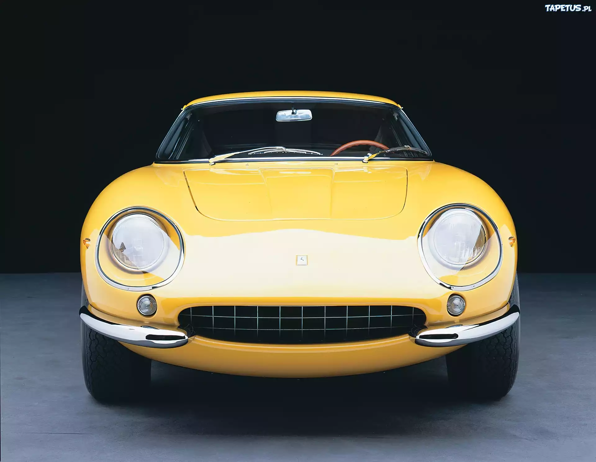Przód, Ferrari 275, Maska