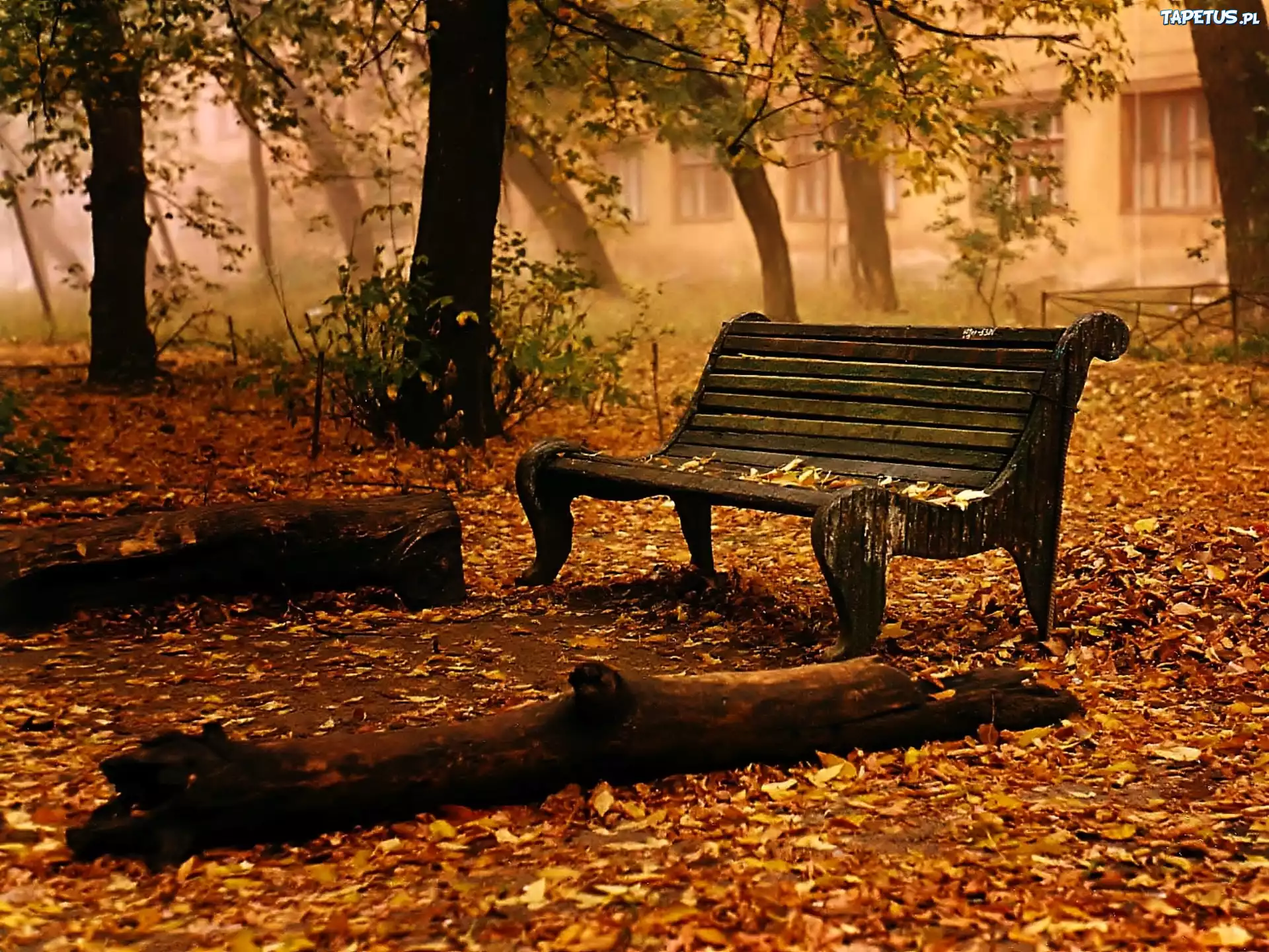 Park, Jesień, Ławeczka