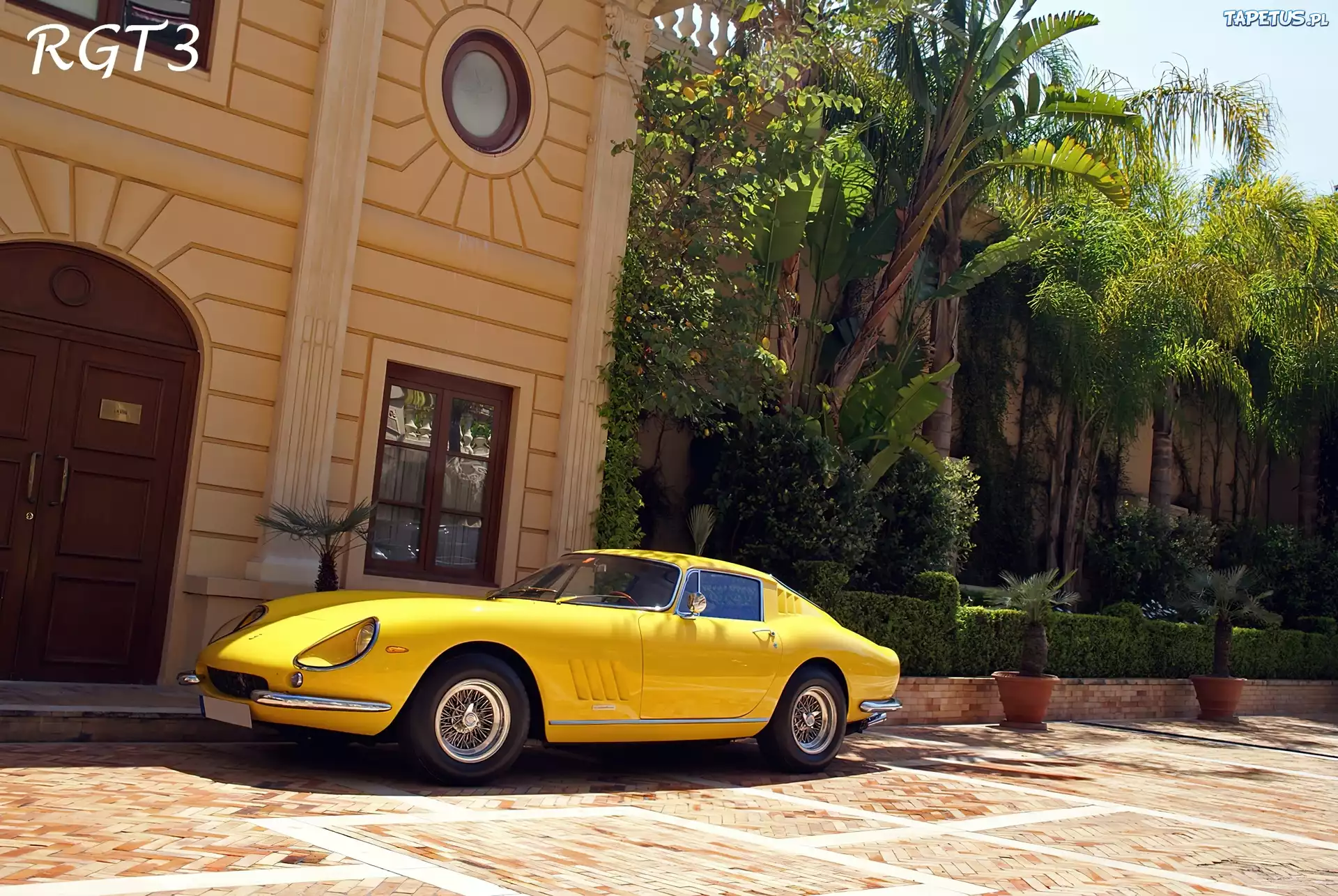 Żółte, Lewy, Bok, Ferrari 275