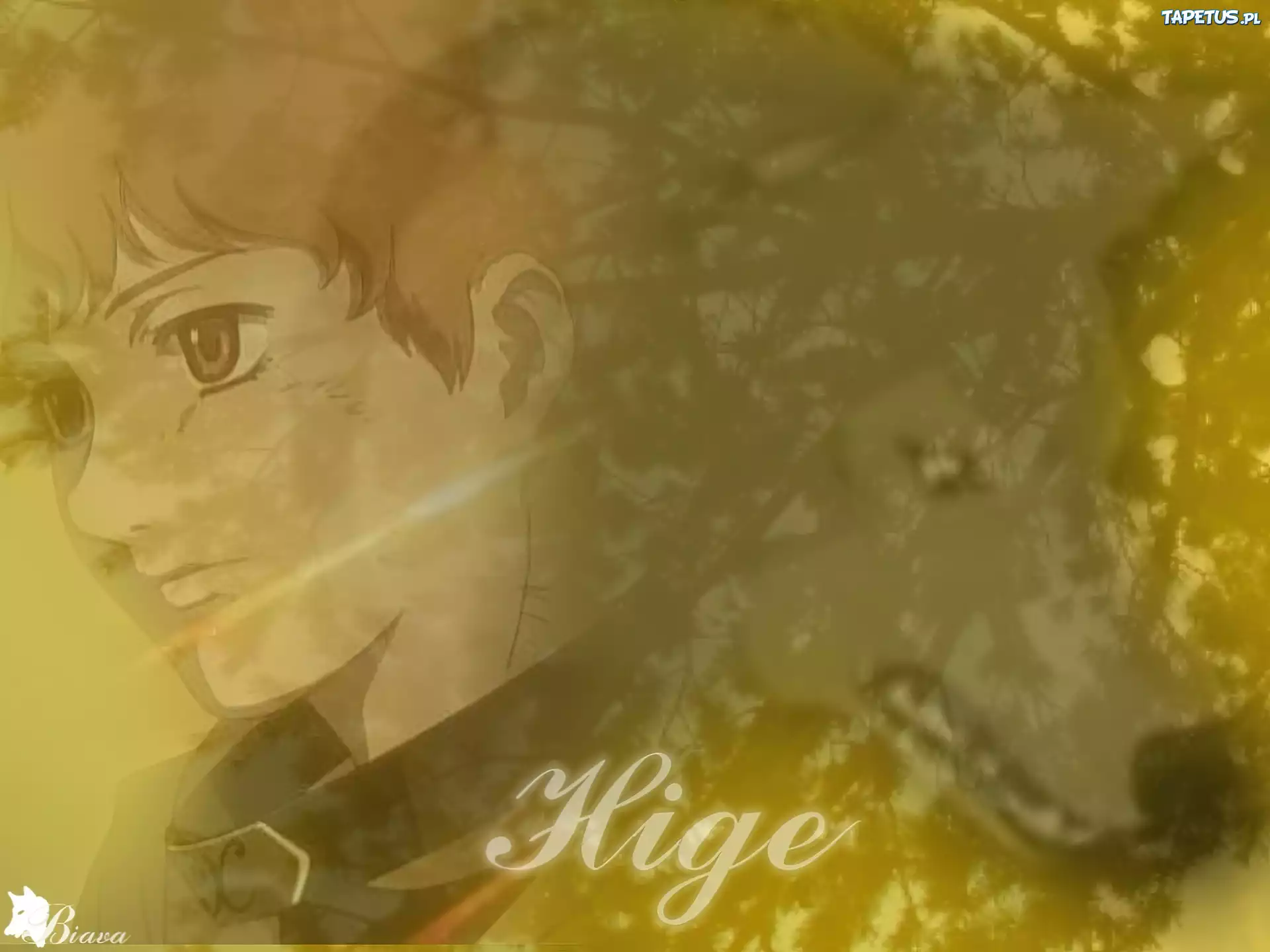 Hige, wilk, Wolfs Rain