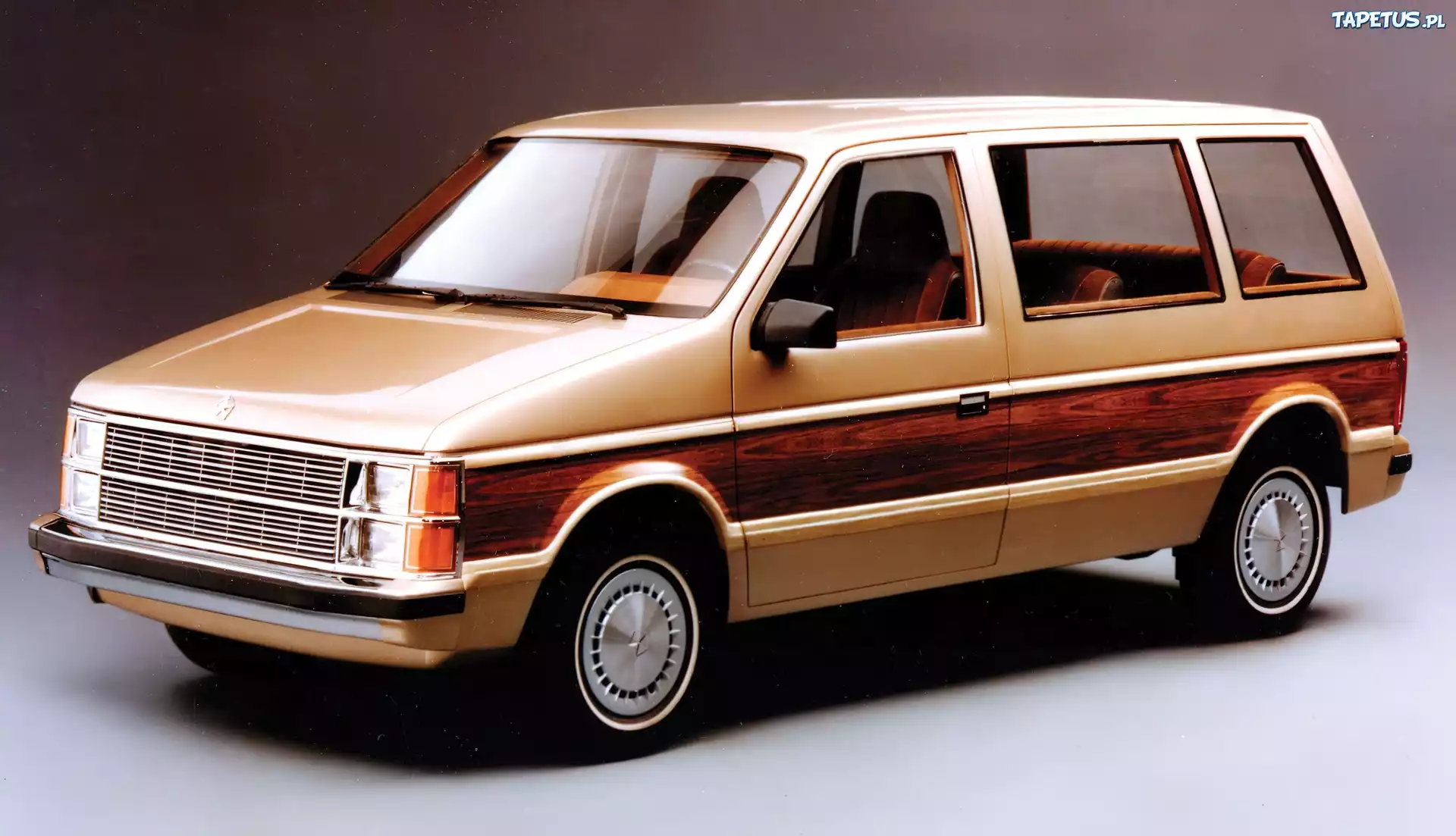 Dodge Caravan, Pierwsza, Wersja