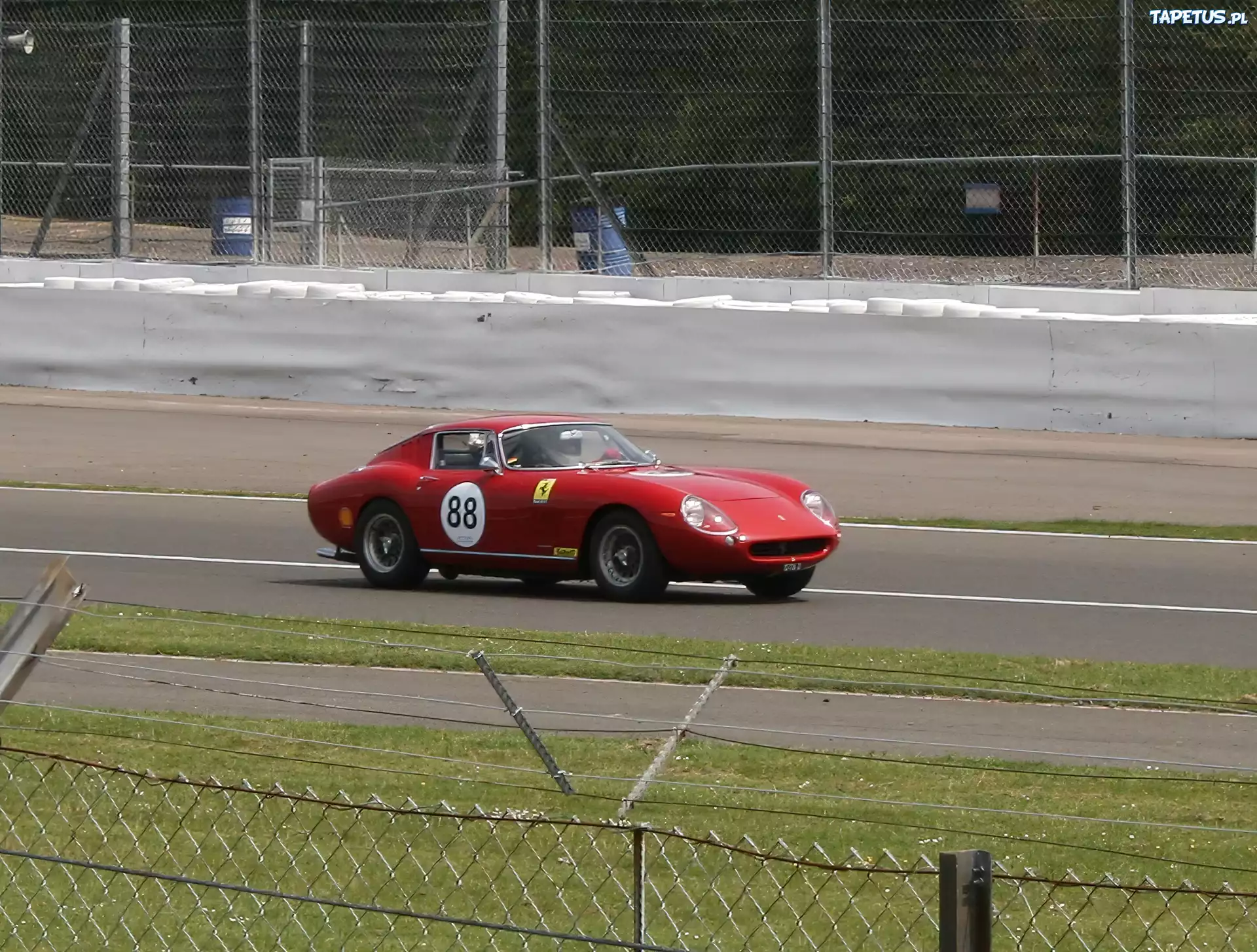 Ferrari 275, Tor, Wyścigowy