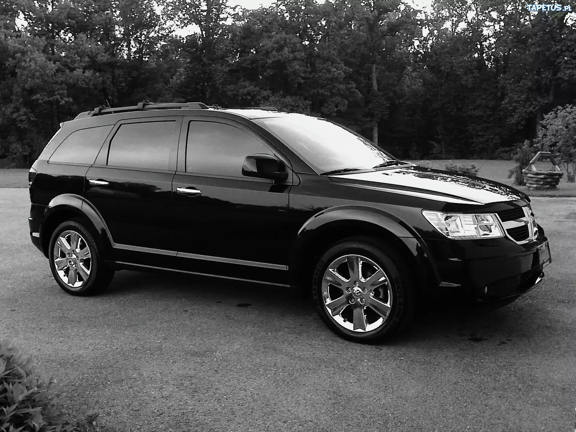 Dodge Journey, Czarno, Białe, Zdjęcie