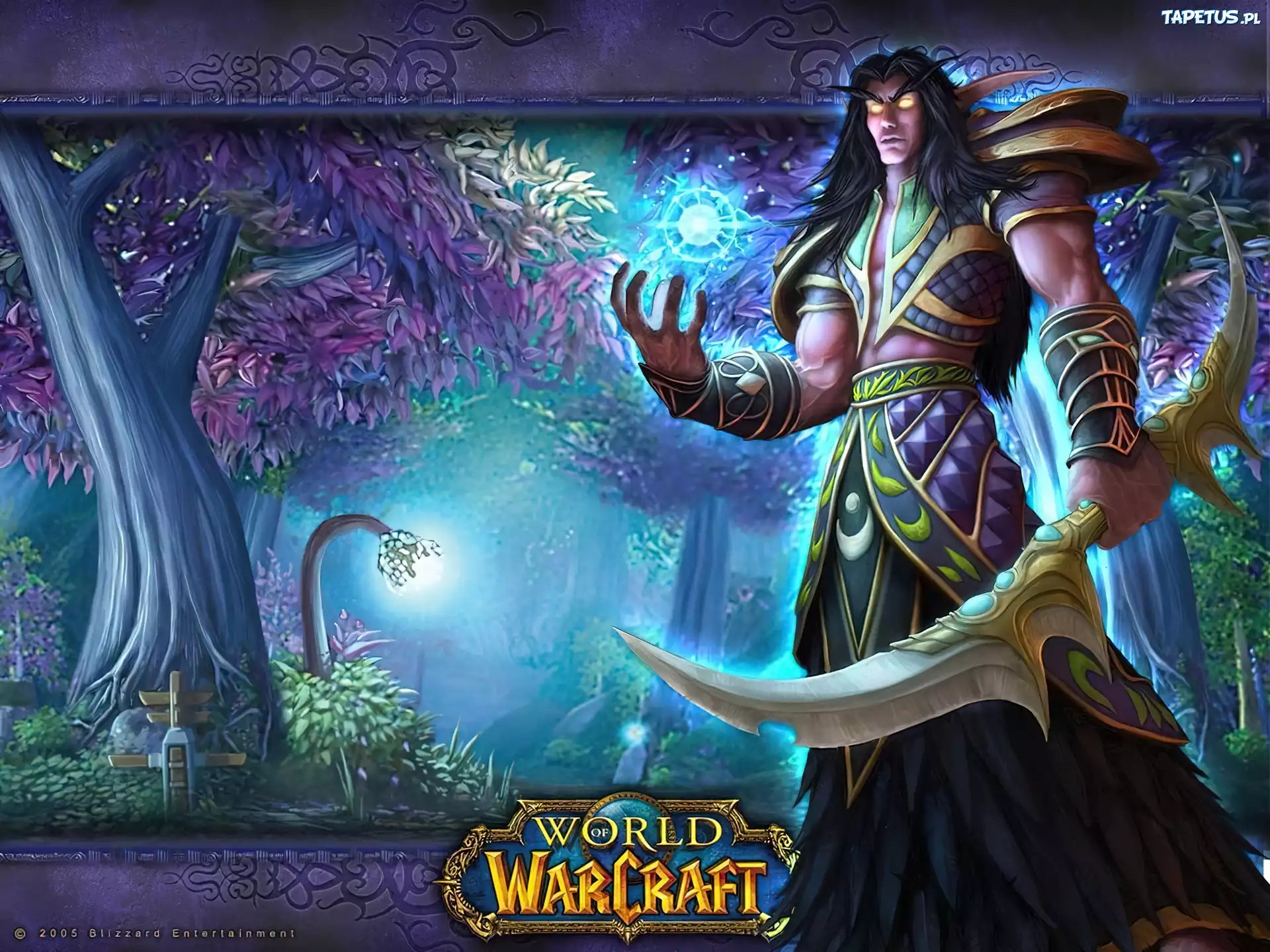 World Of Warcraft, mężczyzna, elf, wojownik, fantasy